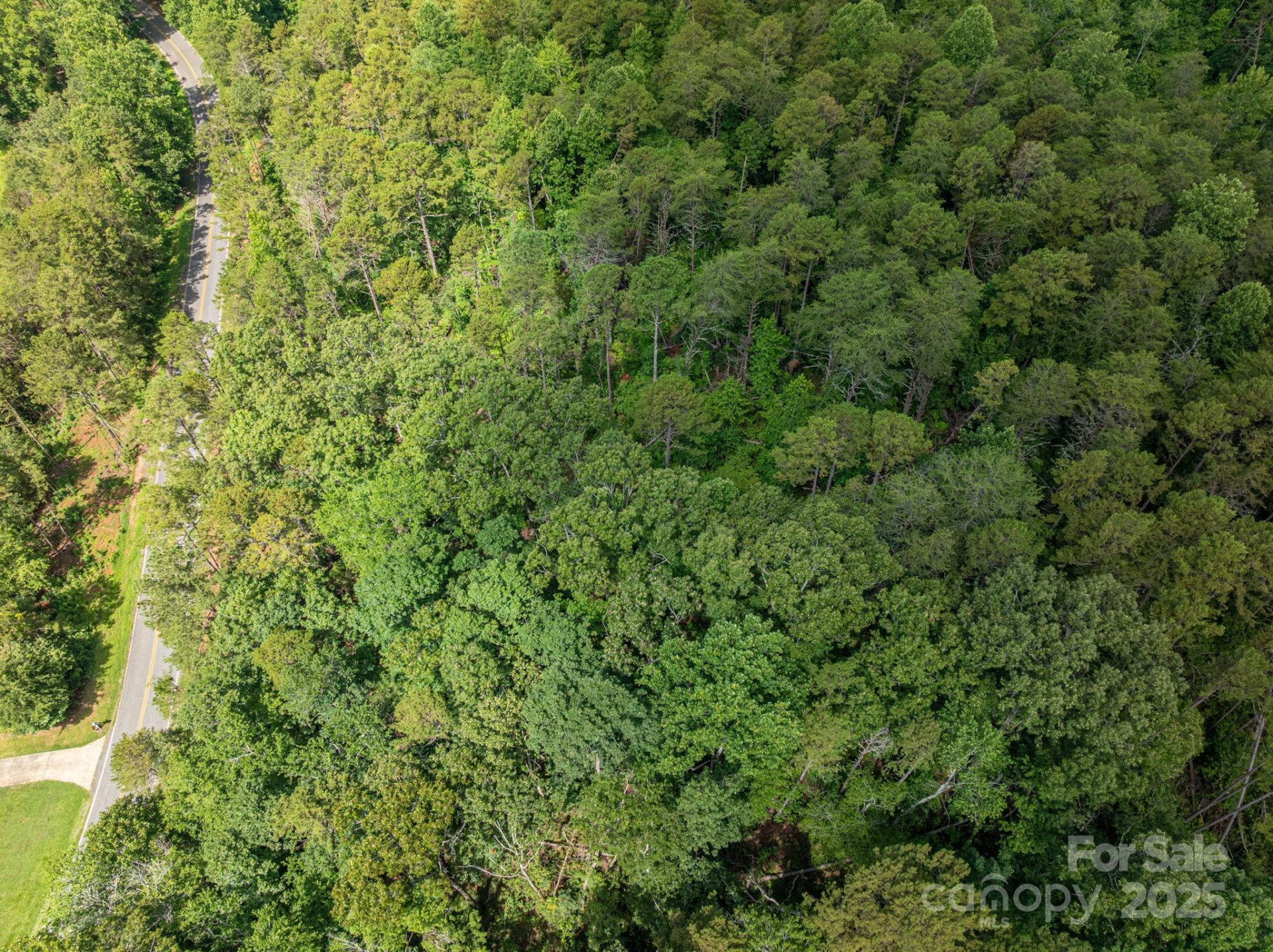 Lot  11 Mcdade Road - Photo 10