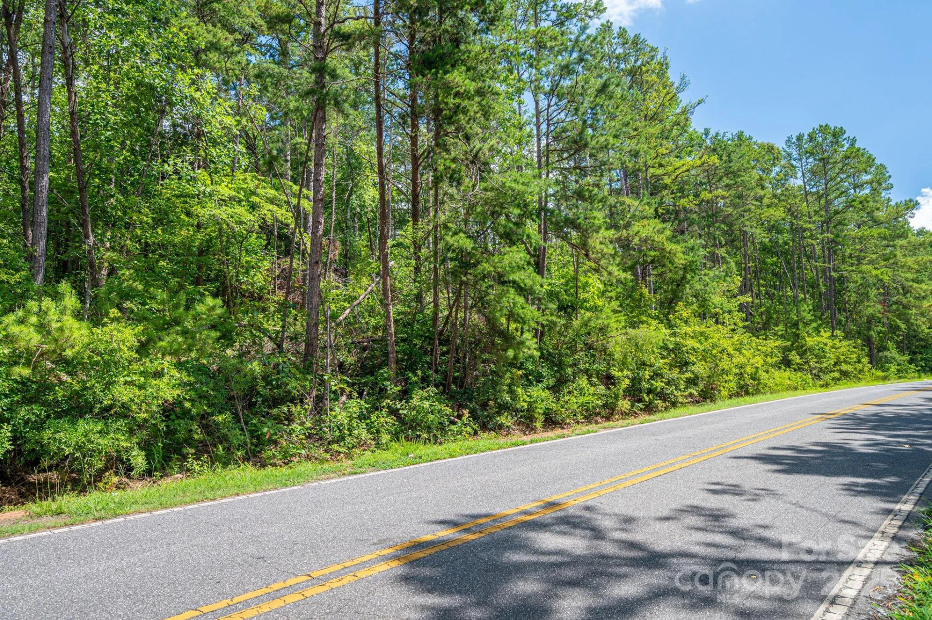 Lot 10 Mcdade Road - Photo 4