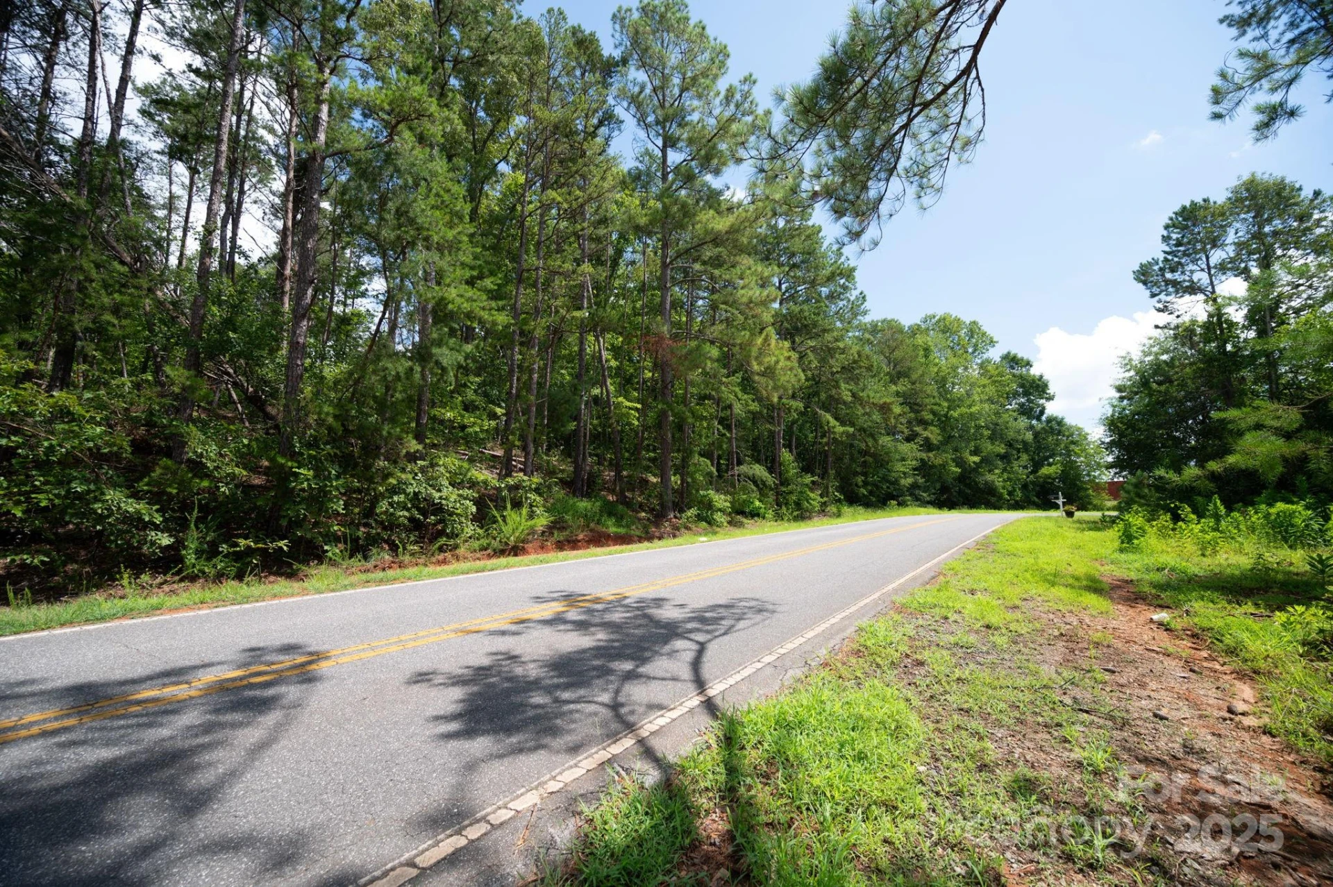 Lot 10 Mcdade Road - Photo 5