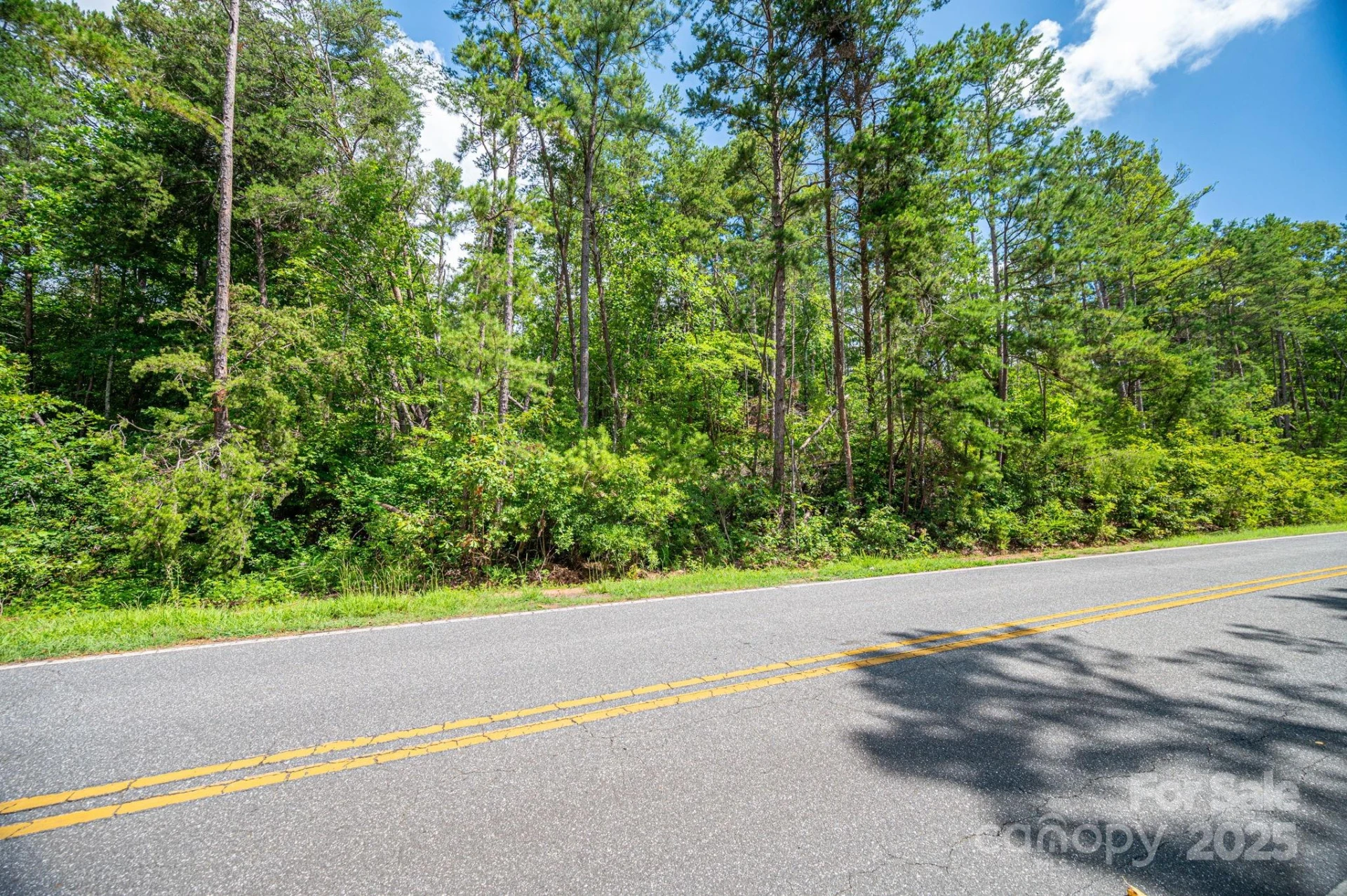Lot 10 Mcdade Road - Photo 6