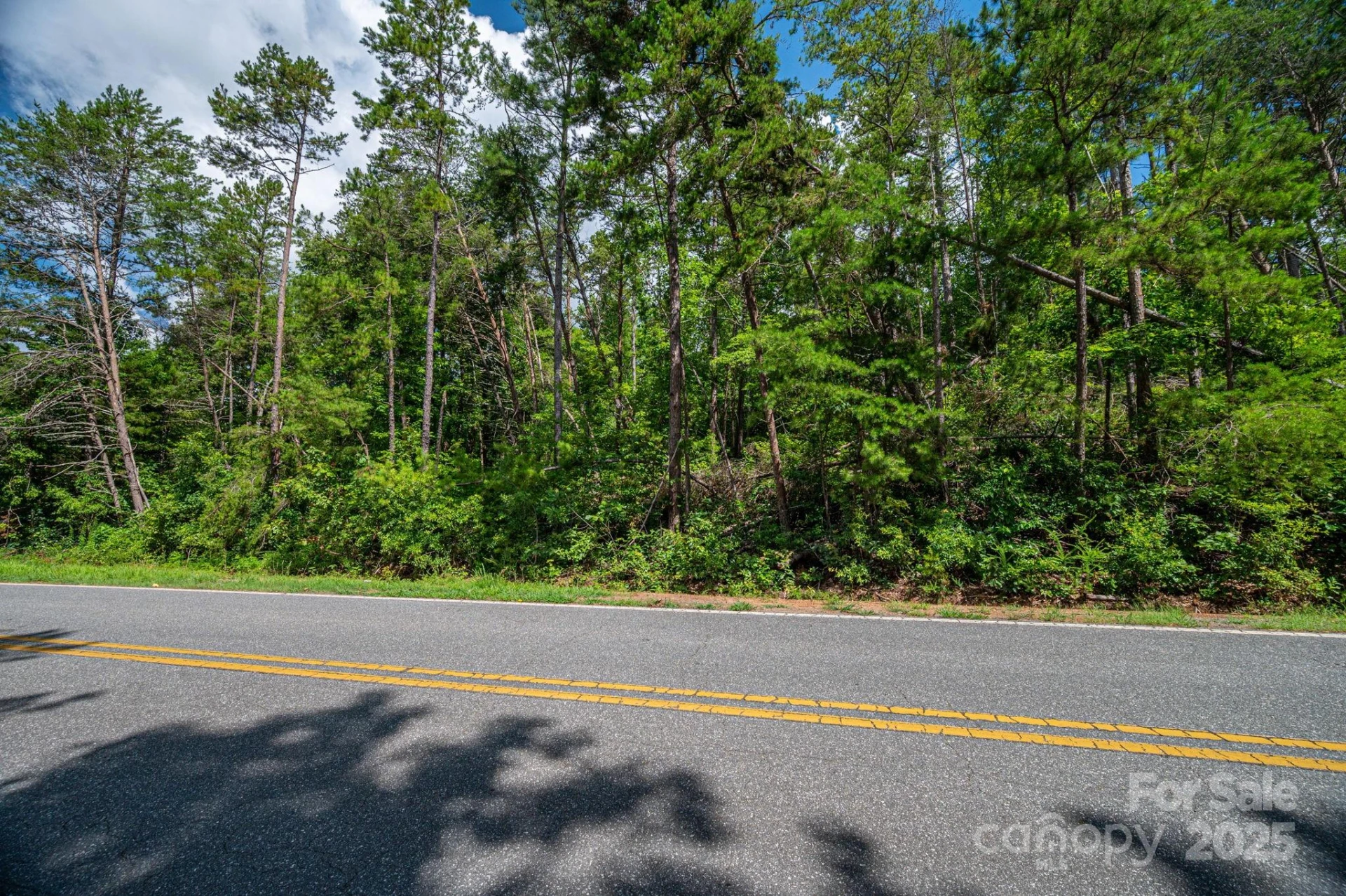 Lot 10 Mcdade Road - Photo 8