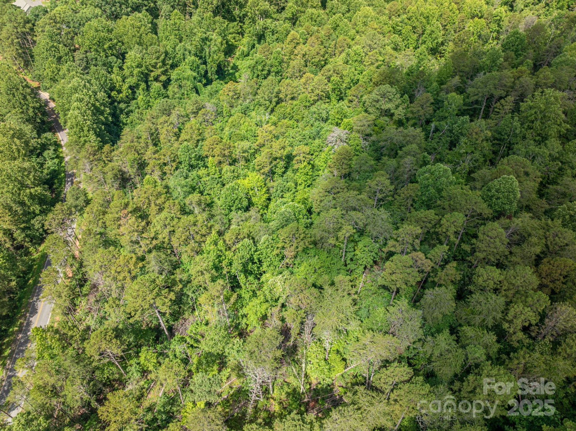 Lot 10 Mcdade Road - Photo 9