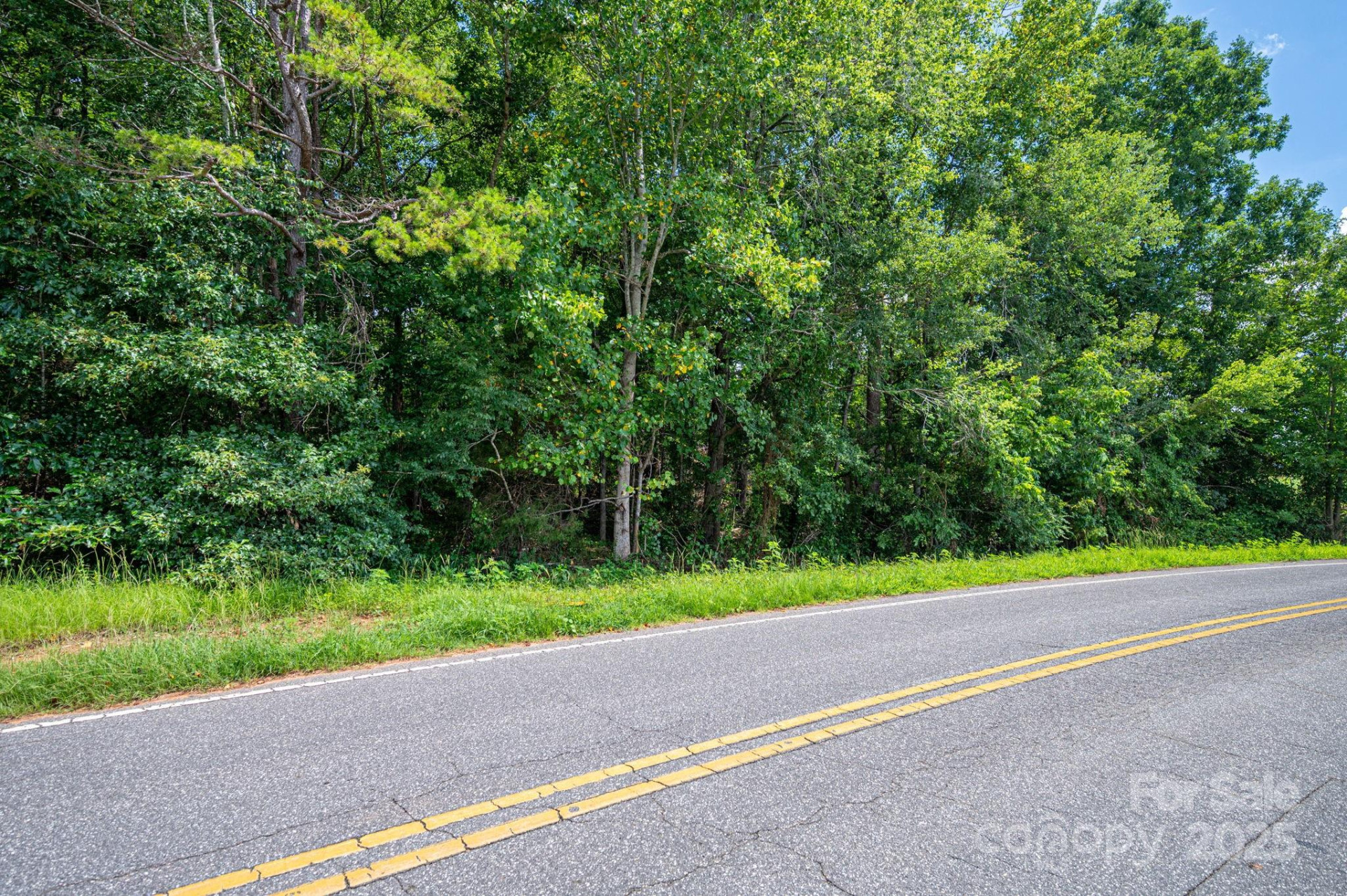 Lot 12 Mcdade Road - Photo 4