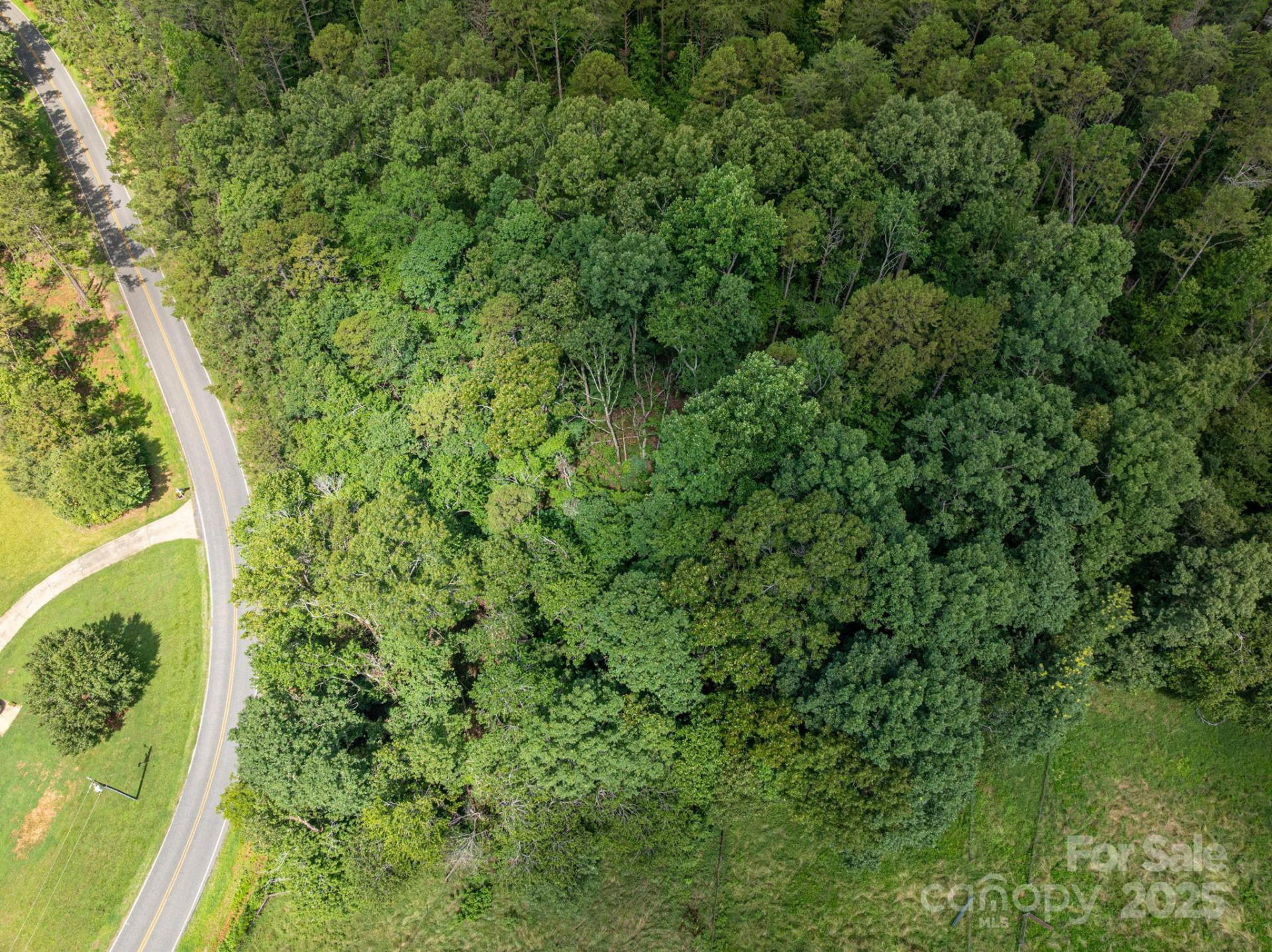 Lot 12 Mcdade Road - Photo 6