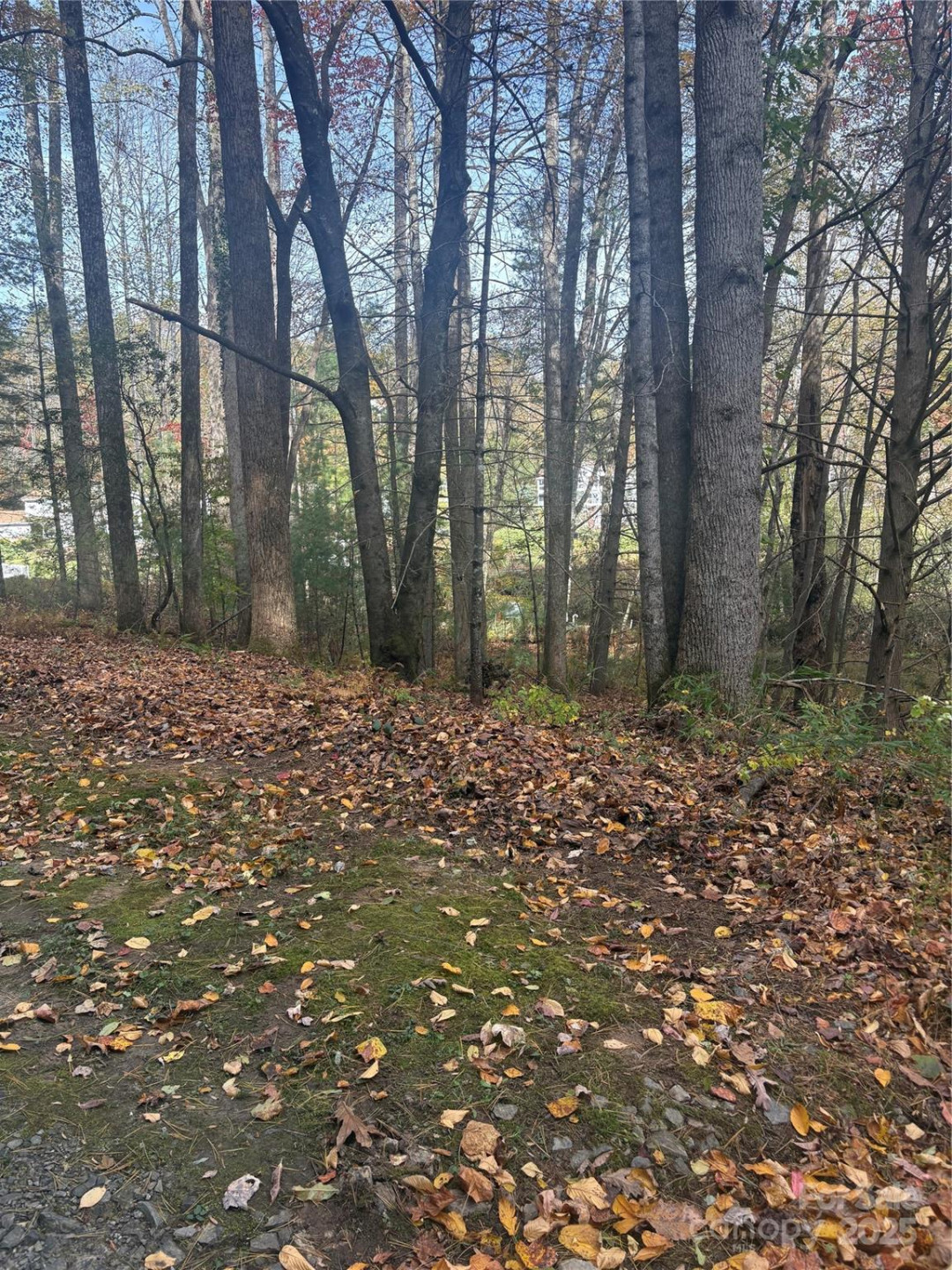 BL-A Club House Court #BL-A - Photo 6