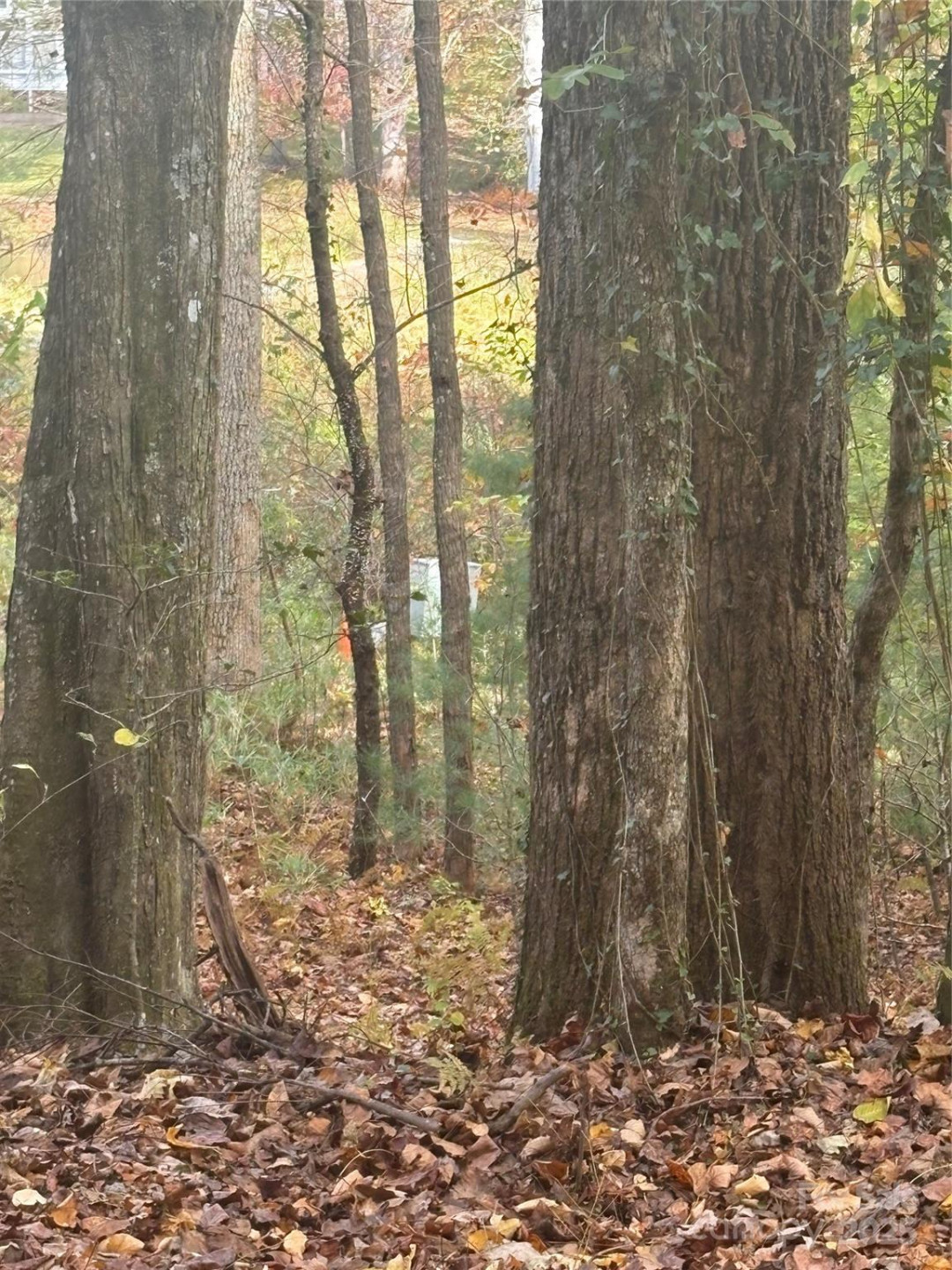 BL-A Club House Court #BL-A - Photo 7