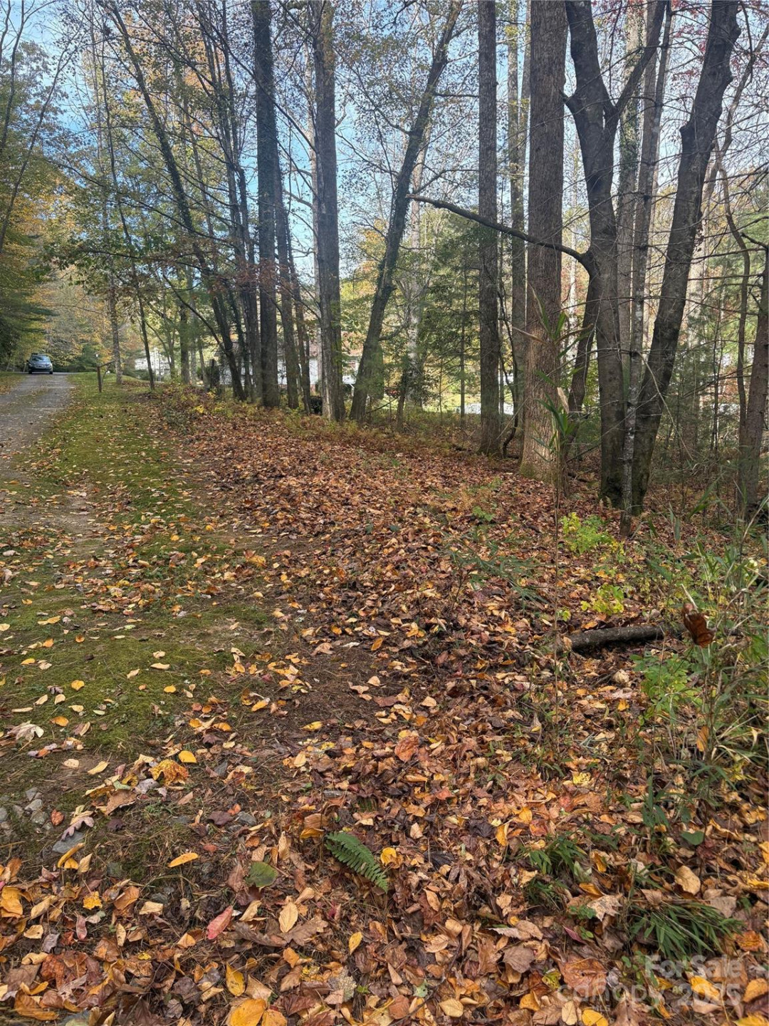 BL-A Club House Court #BL-A - Photo 8