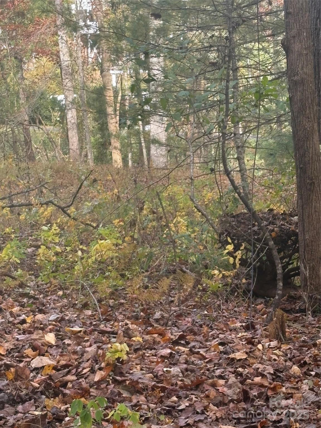 BL-A Club House Court #BL-A - Photo 9