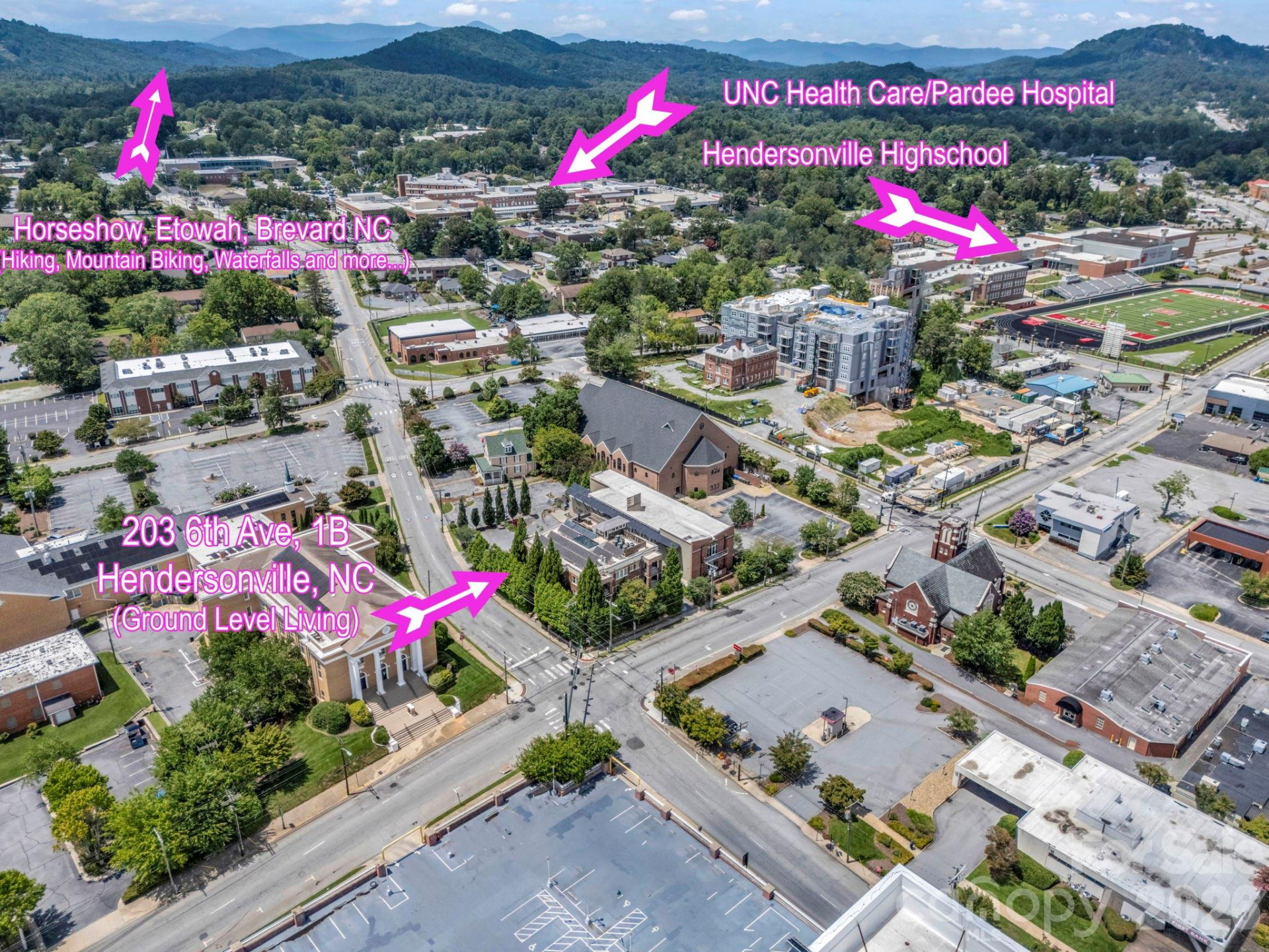 203 6th Avenue #1B - Photo 6