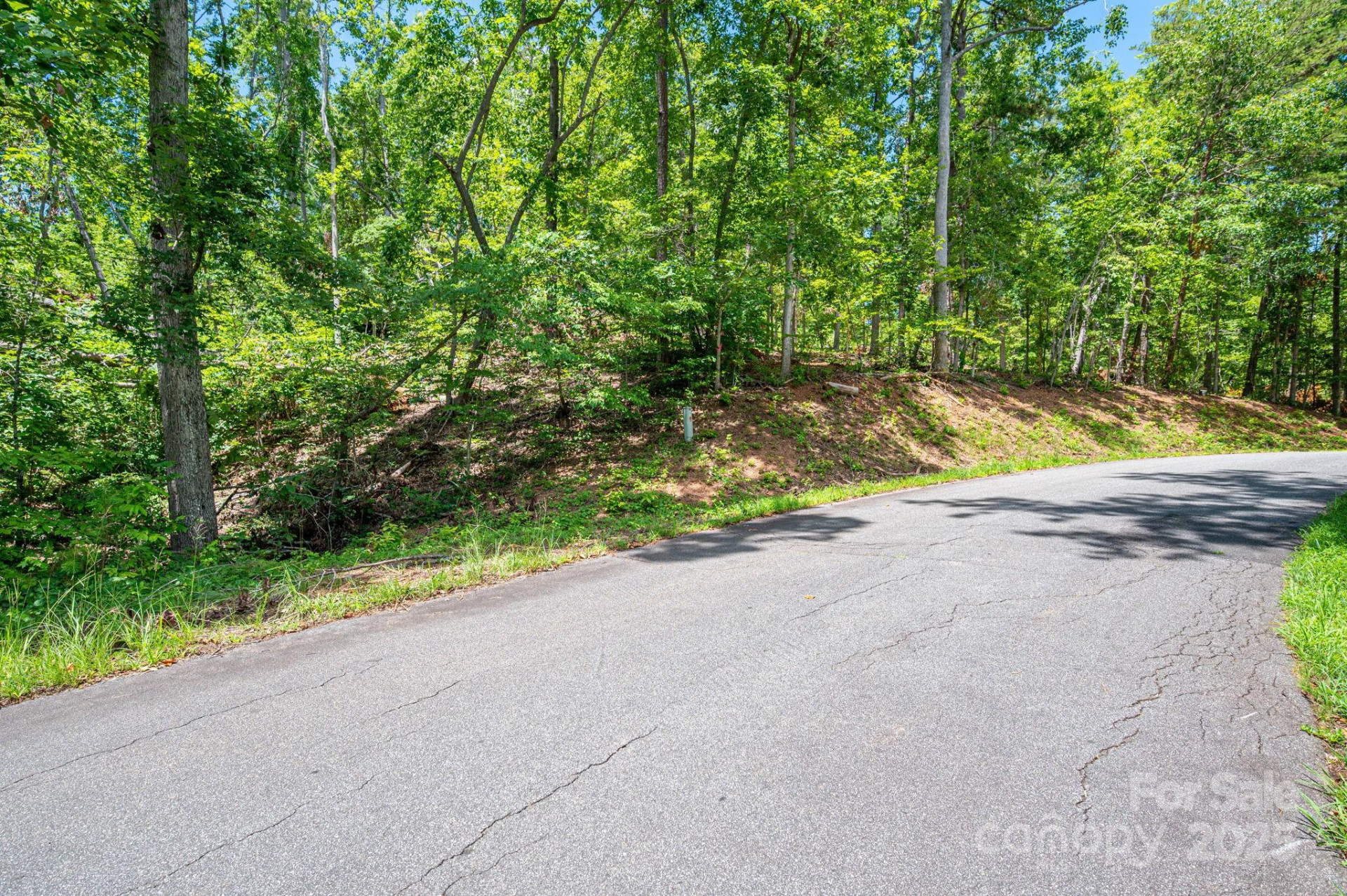 Lot 191 Plantation Drive - Photo 11