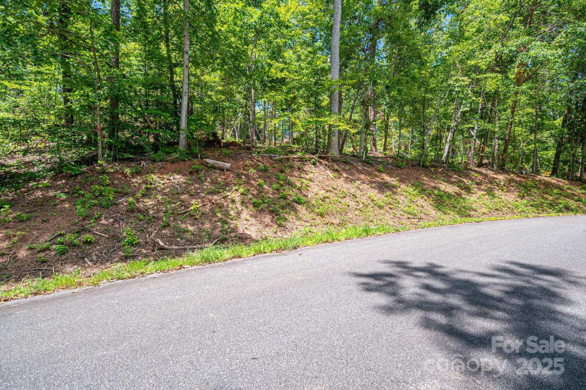 Lot 191 Plantation Drive - Photo 12