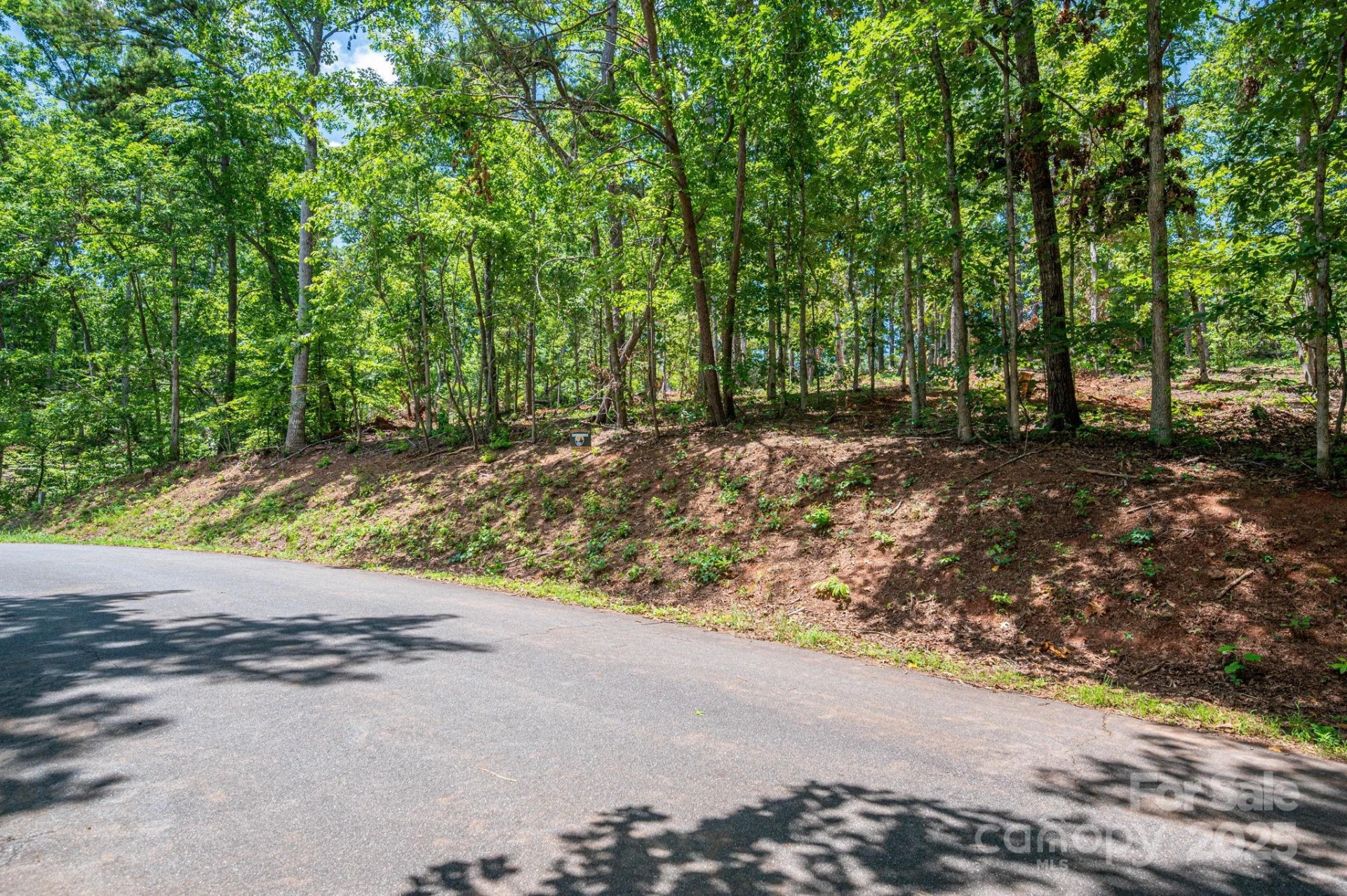 Lot 191 Plantation Drive - Photo 13
