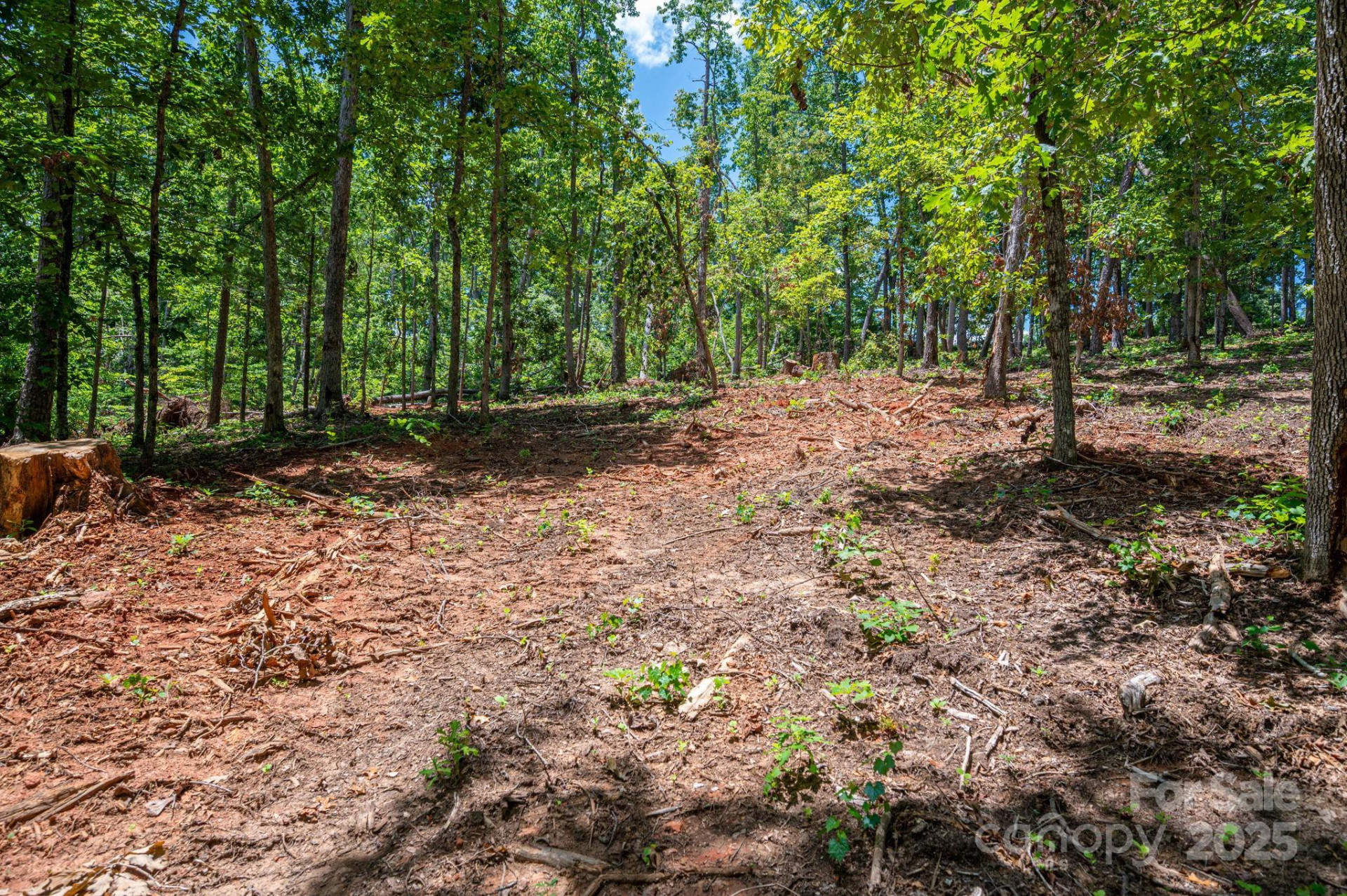 Lot 191 Plantation Drive - Photo 14