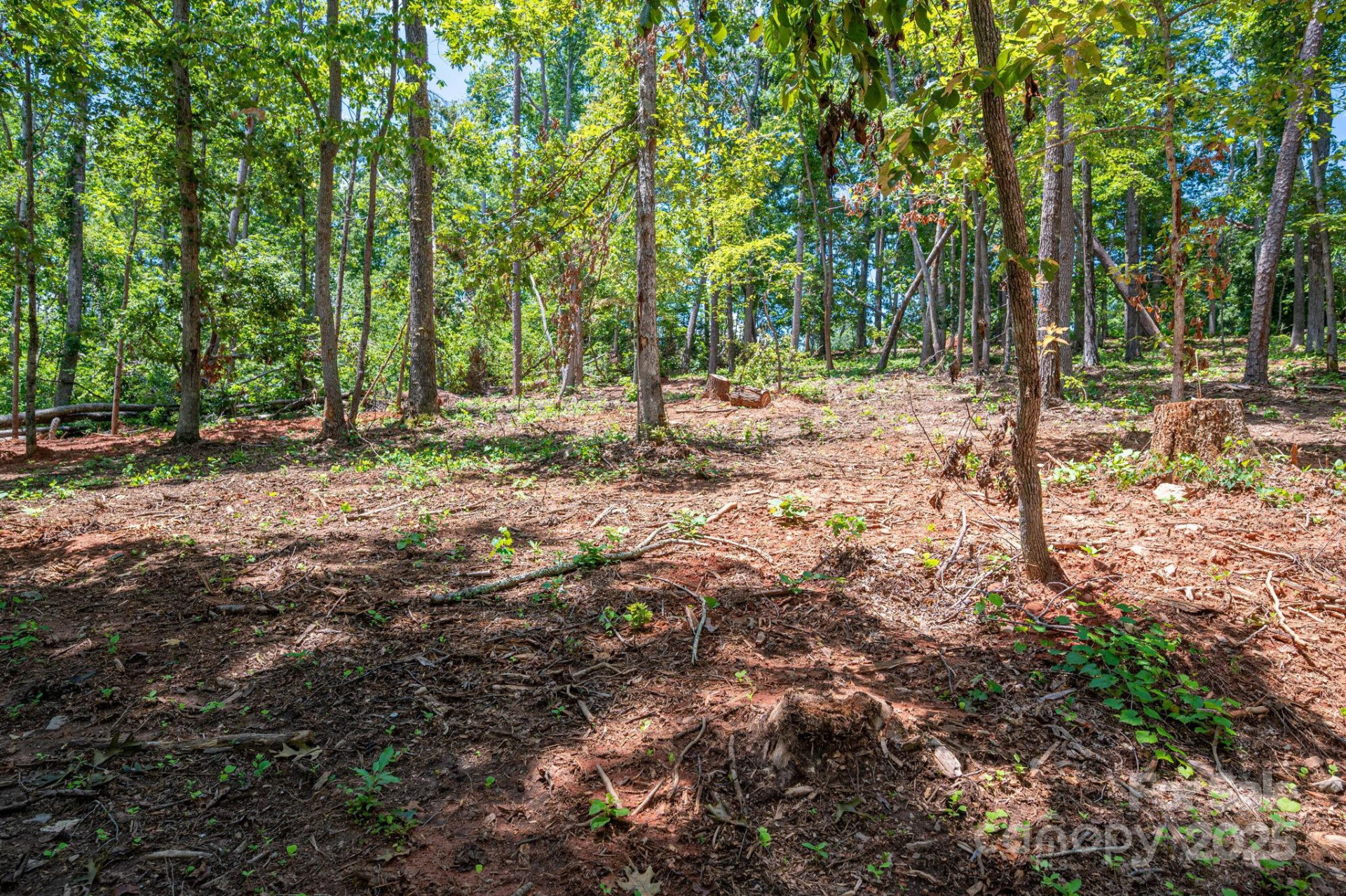Lot 191 Plantation Drive - Photo 15