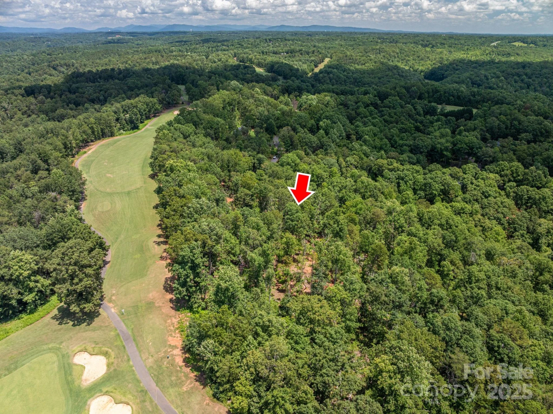 Lot 191 Plantation Drive - Photo 4