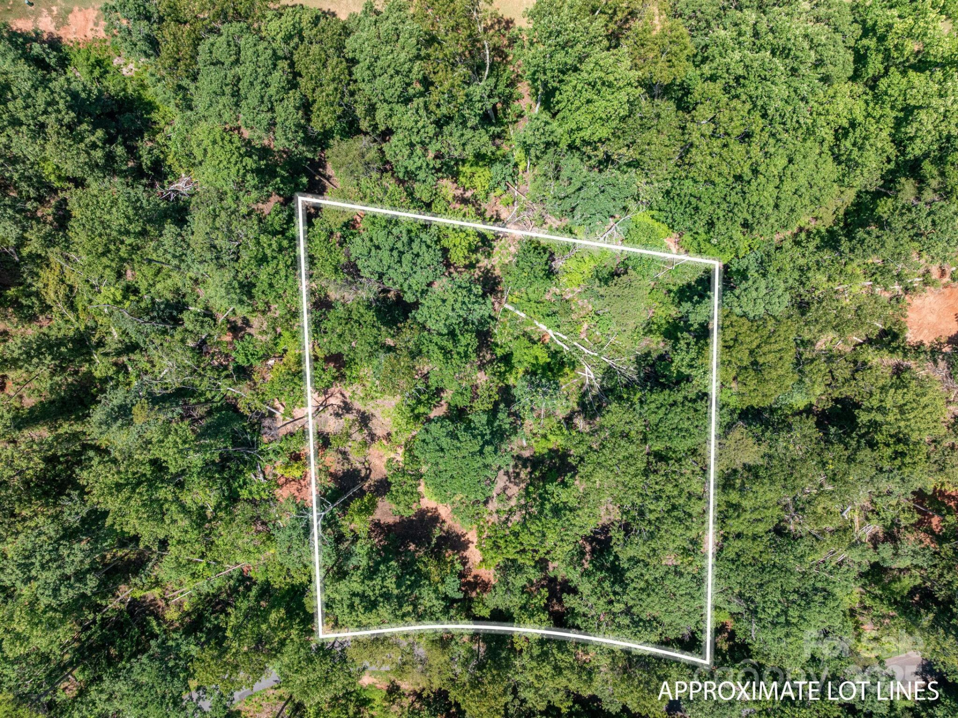 Lot 191 Plantation Drive - Photo 6