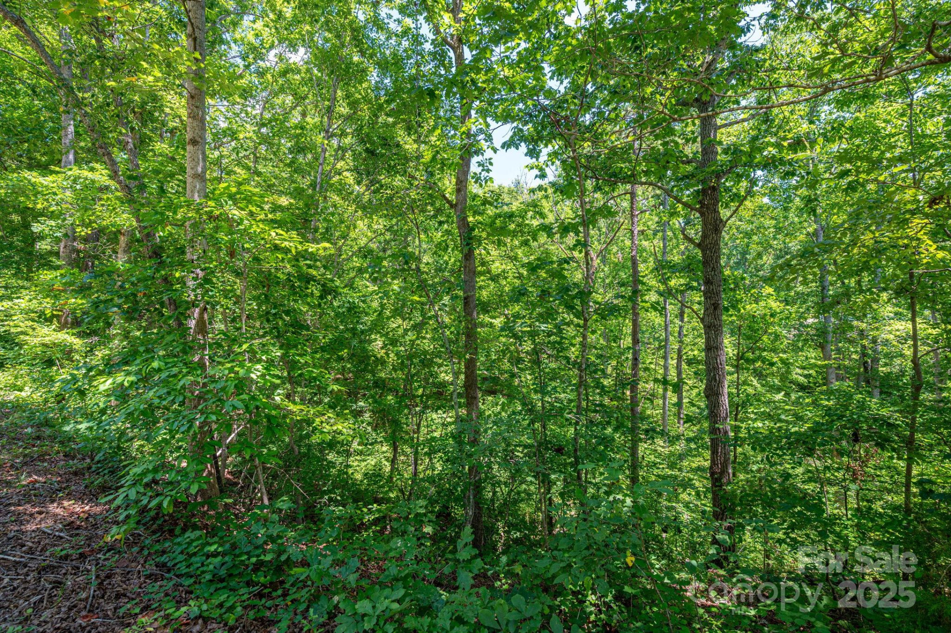 Lot 131 Plantation Drive - Photo 12