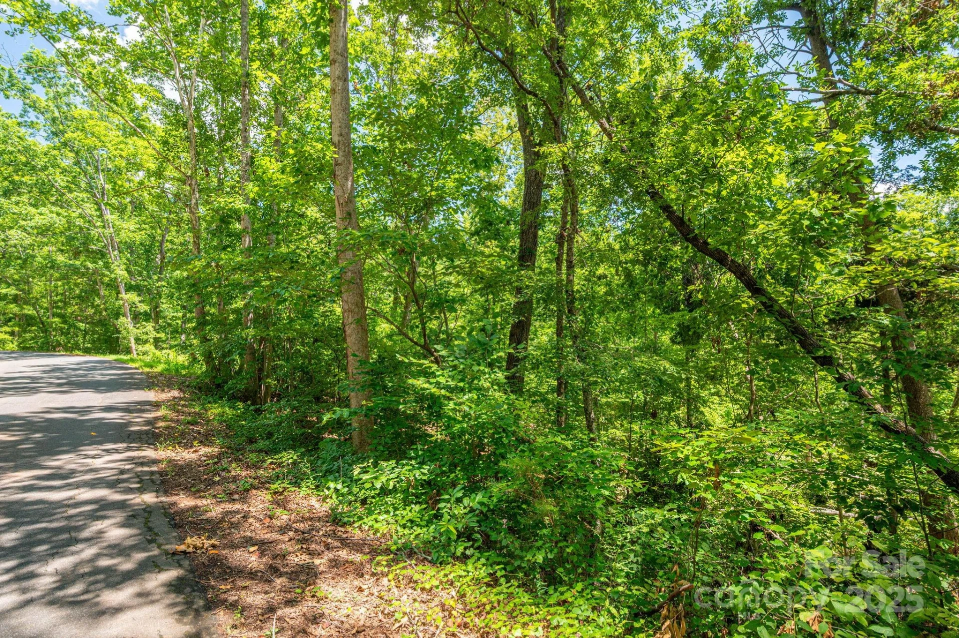 Lot 132 Plantation Drive - Photo 11