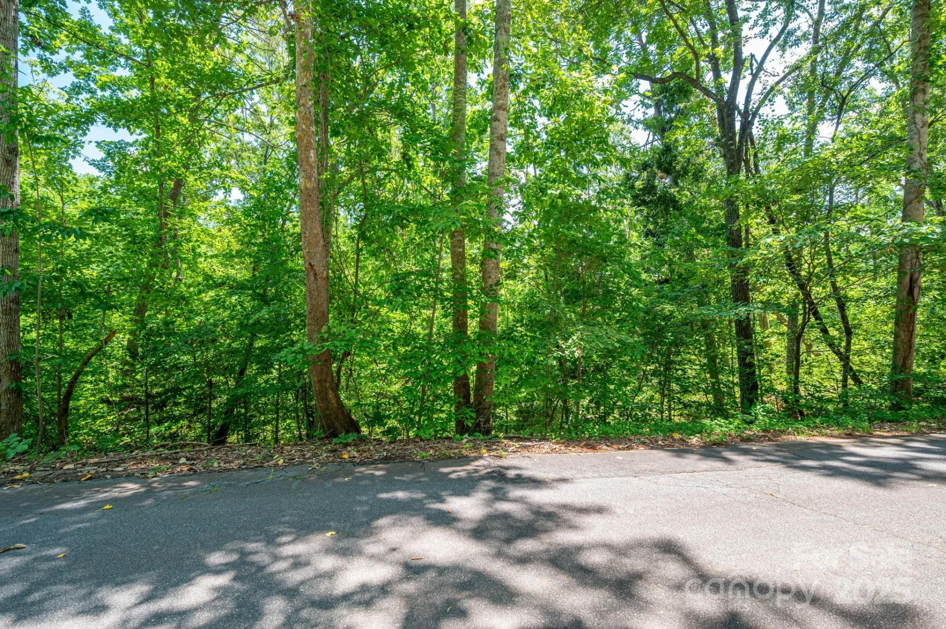 Lot 132 Plantation Drive - Photo 12
