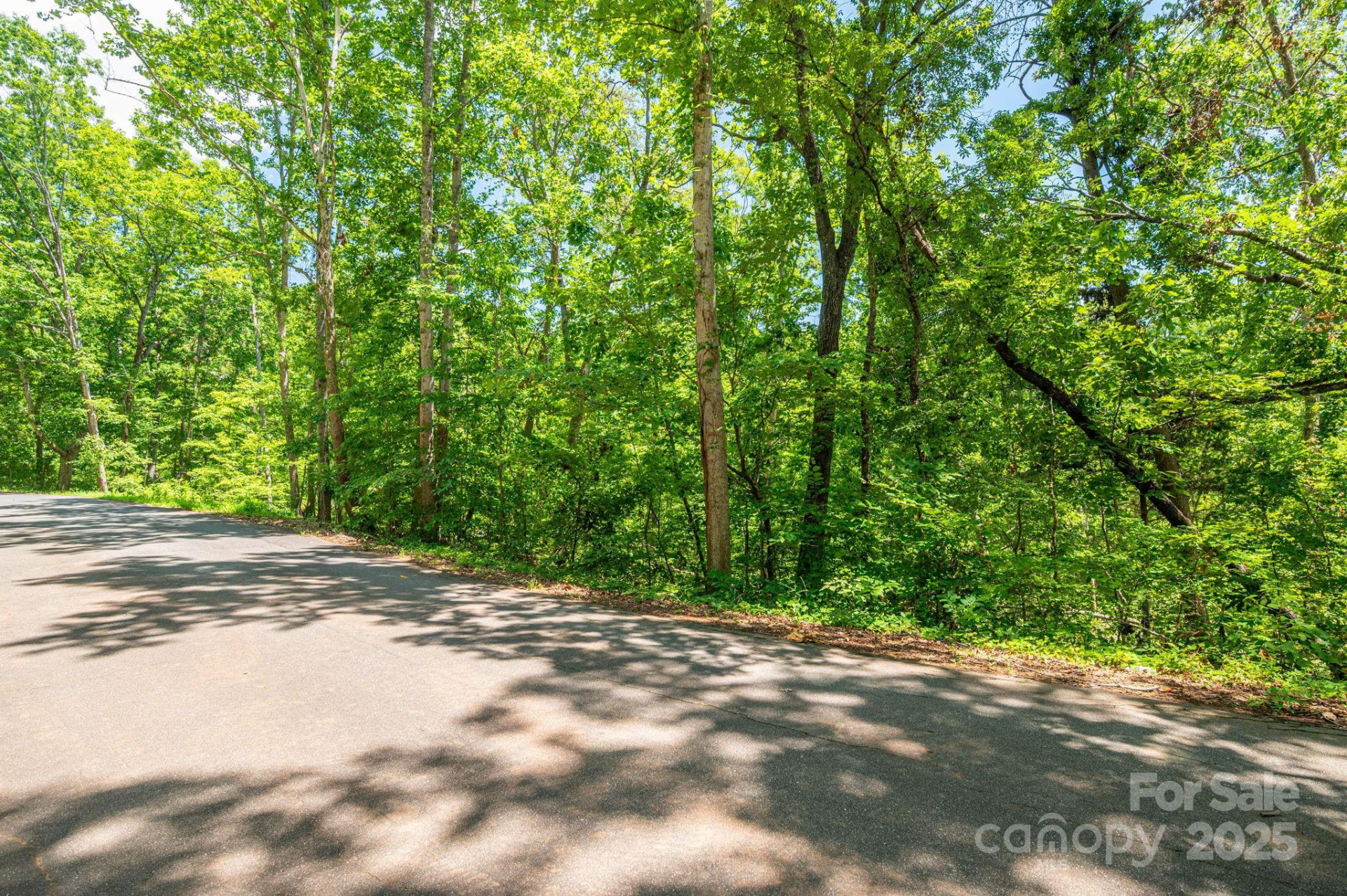 Lot 132 Plantation Drive - Photo 10