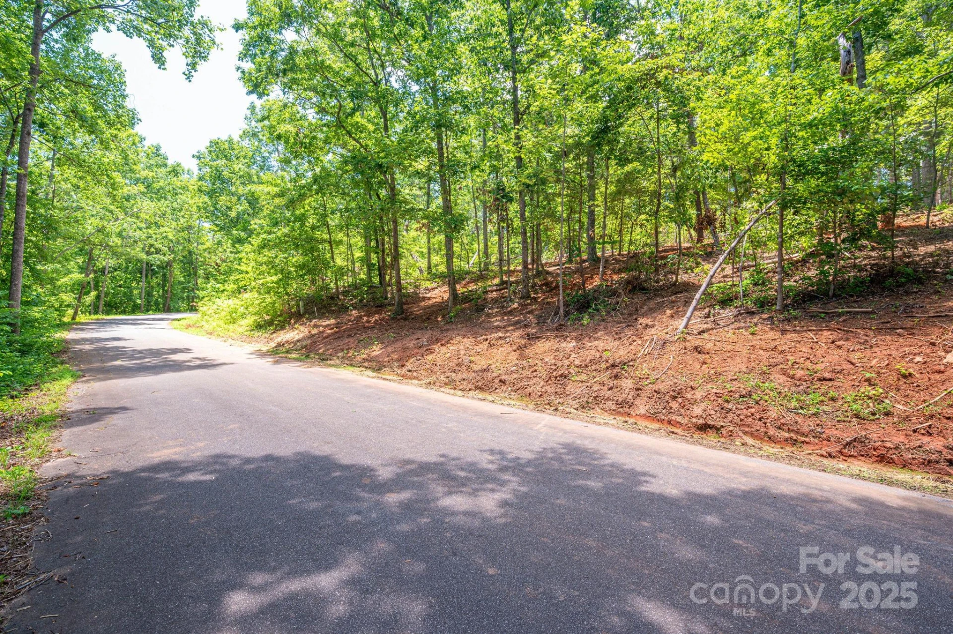 Lot 193 Plantation Drive - Photo 11