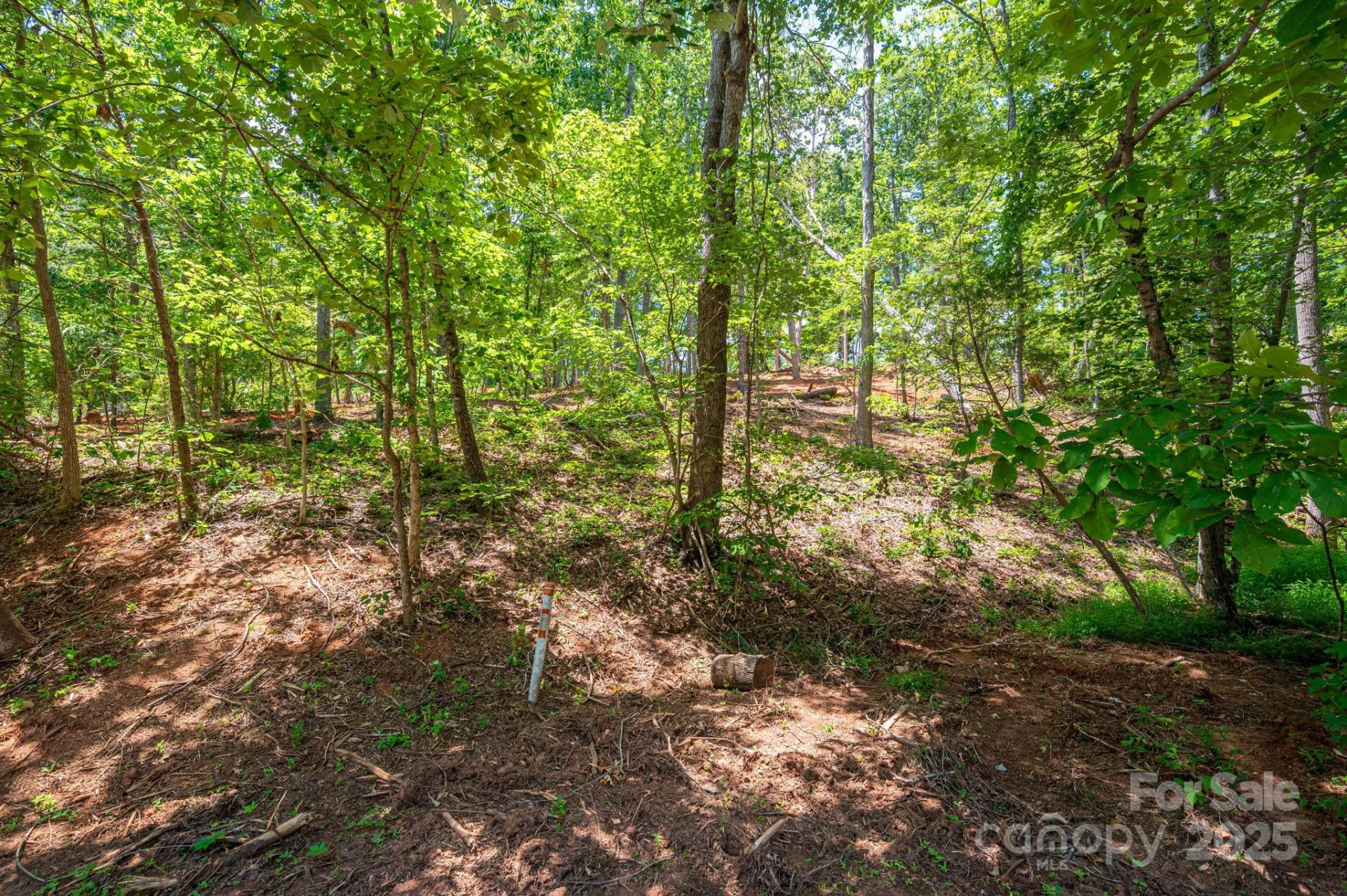 Lot 193 Plantation Drive - Photo 12
