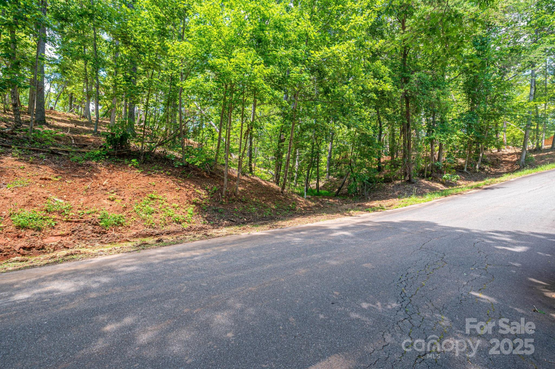 Lot 193 Plantation Drive - Photo 9