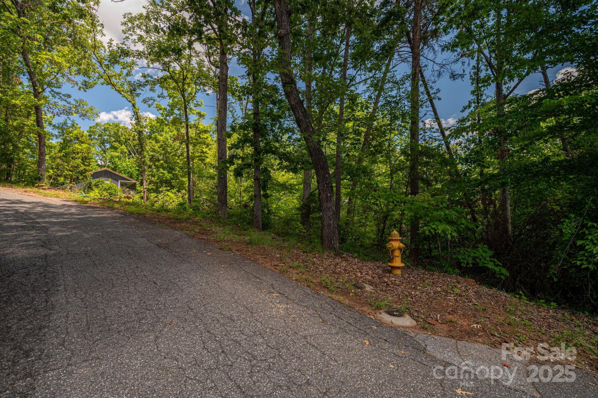 Lot 207 Plantation Drive - Photo 9