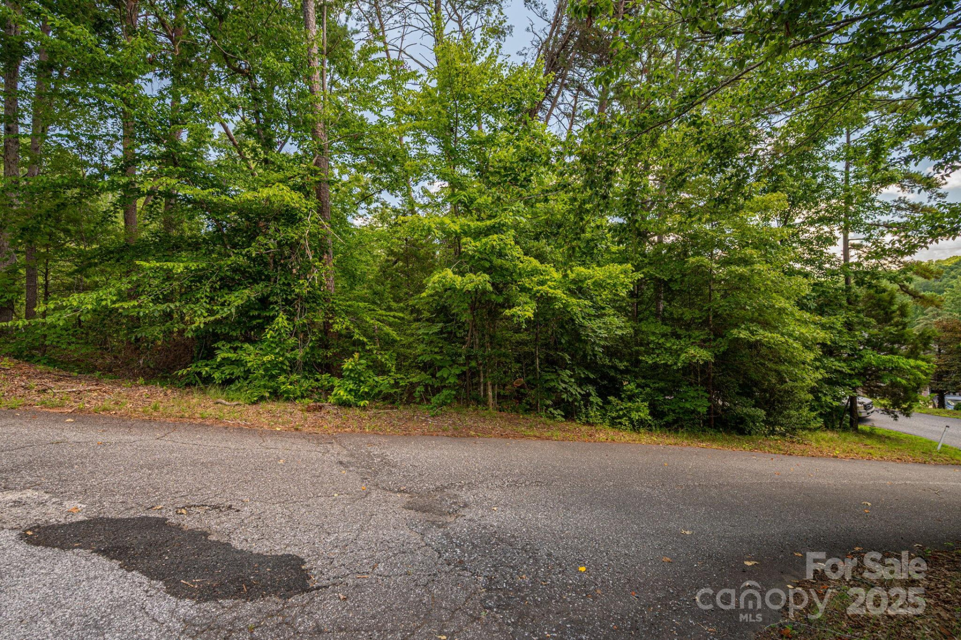 Lot 207 Plantation Drive - Photo 10