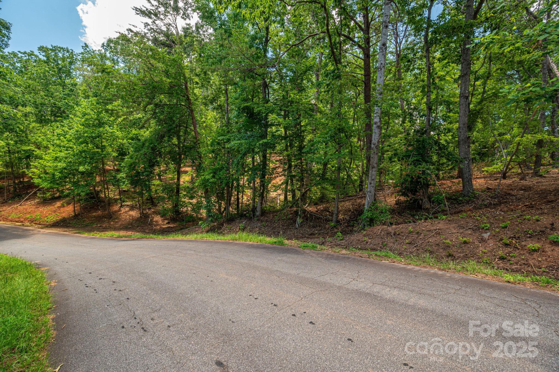 Lot 209 Plantation Drive - Photo 11