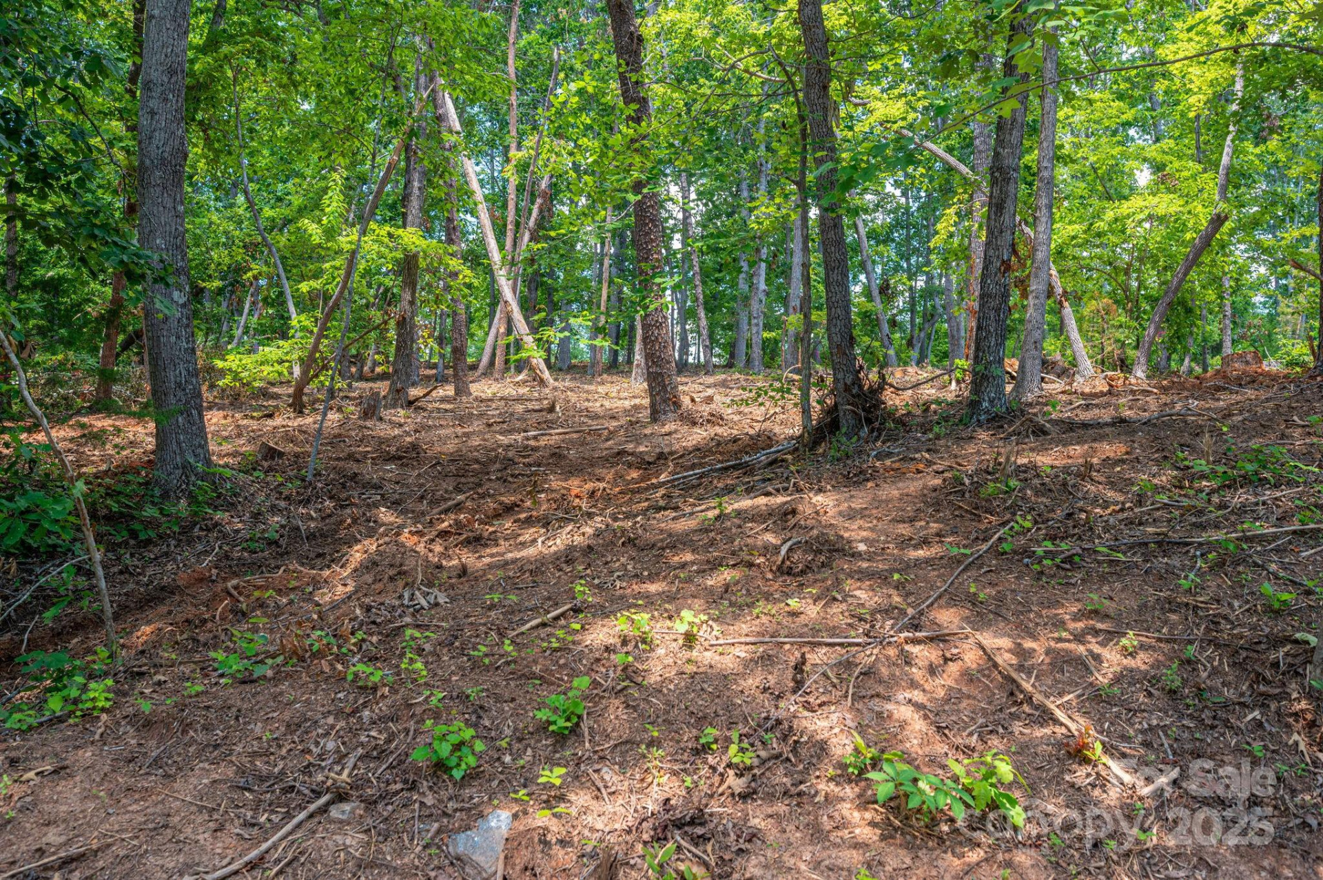 Lot 209 Plantation Drive - Photo 12