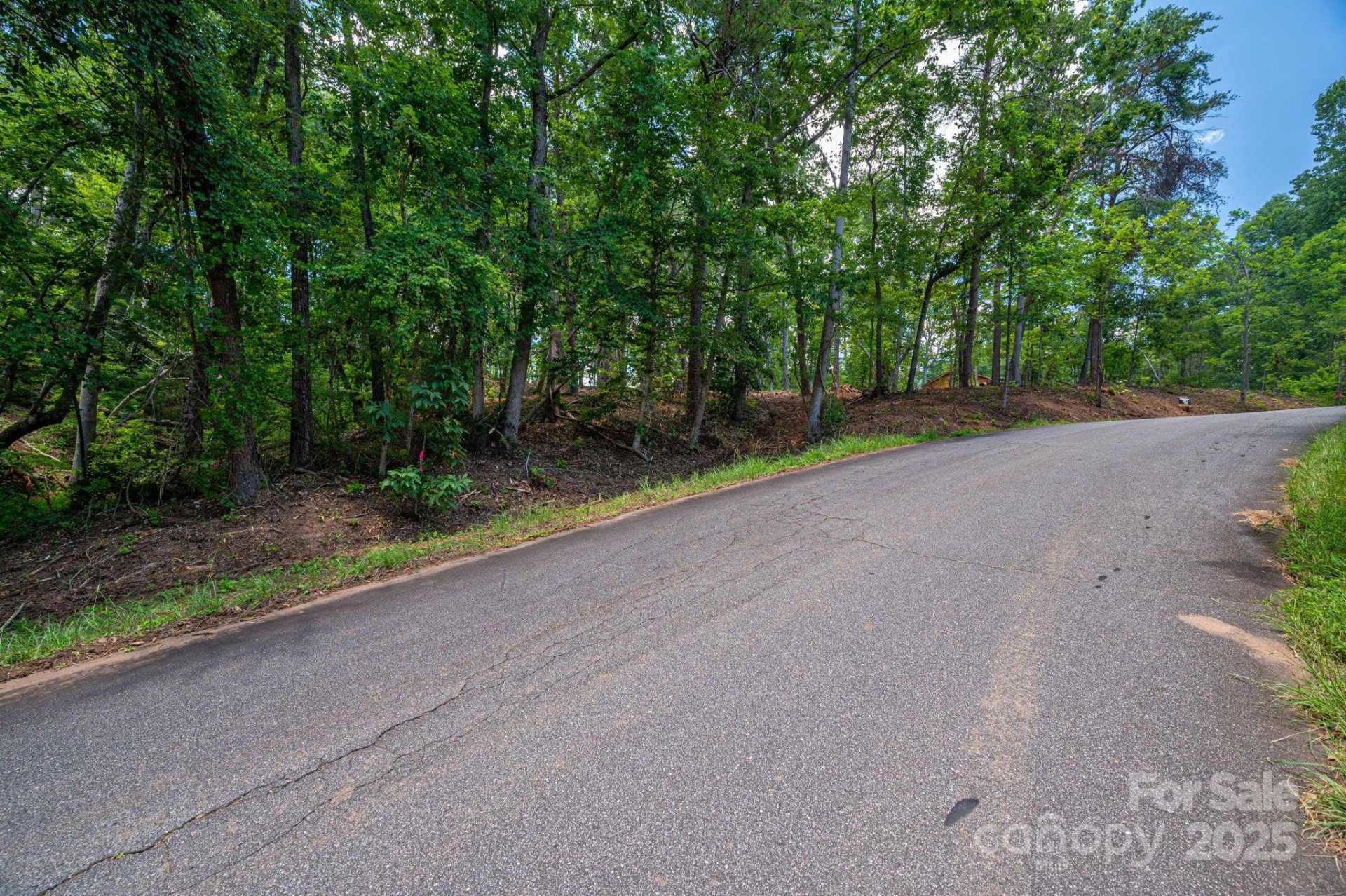 Lot 209 Plantation Drive - Photo 9