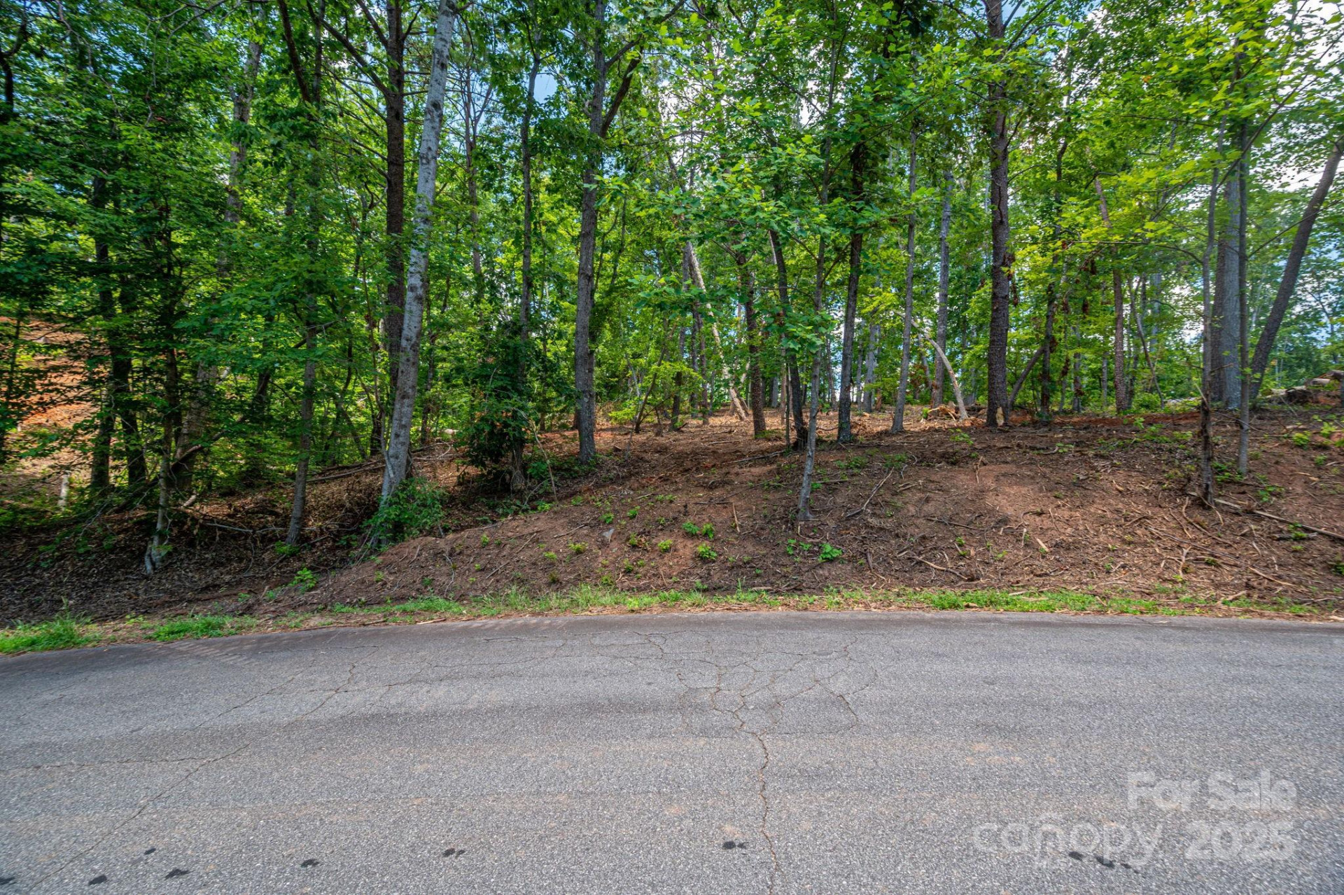 Lot 209 Plantation Drive - Photo 10
