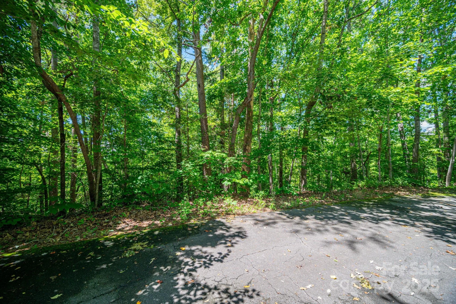 Lot 166 Plantation Drive - Photo 5