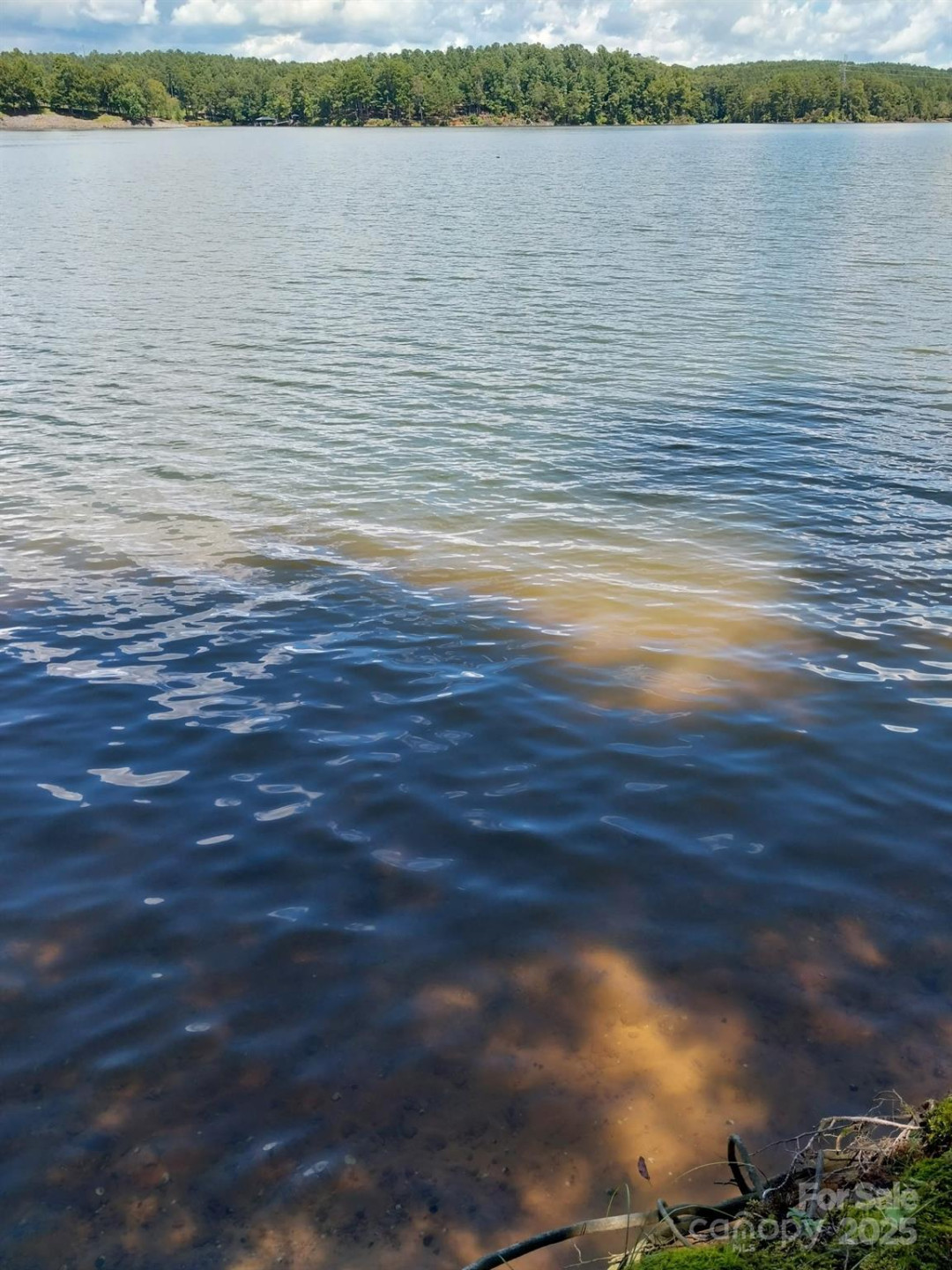 4083 Grays Peak Summit None #169 - Photo 11