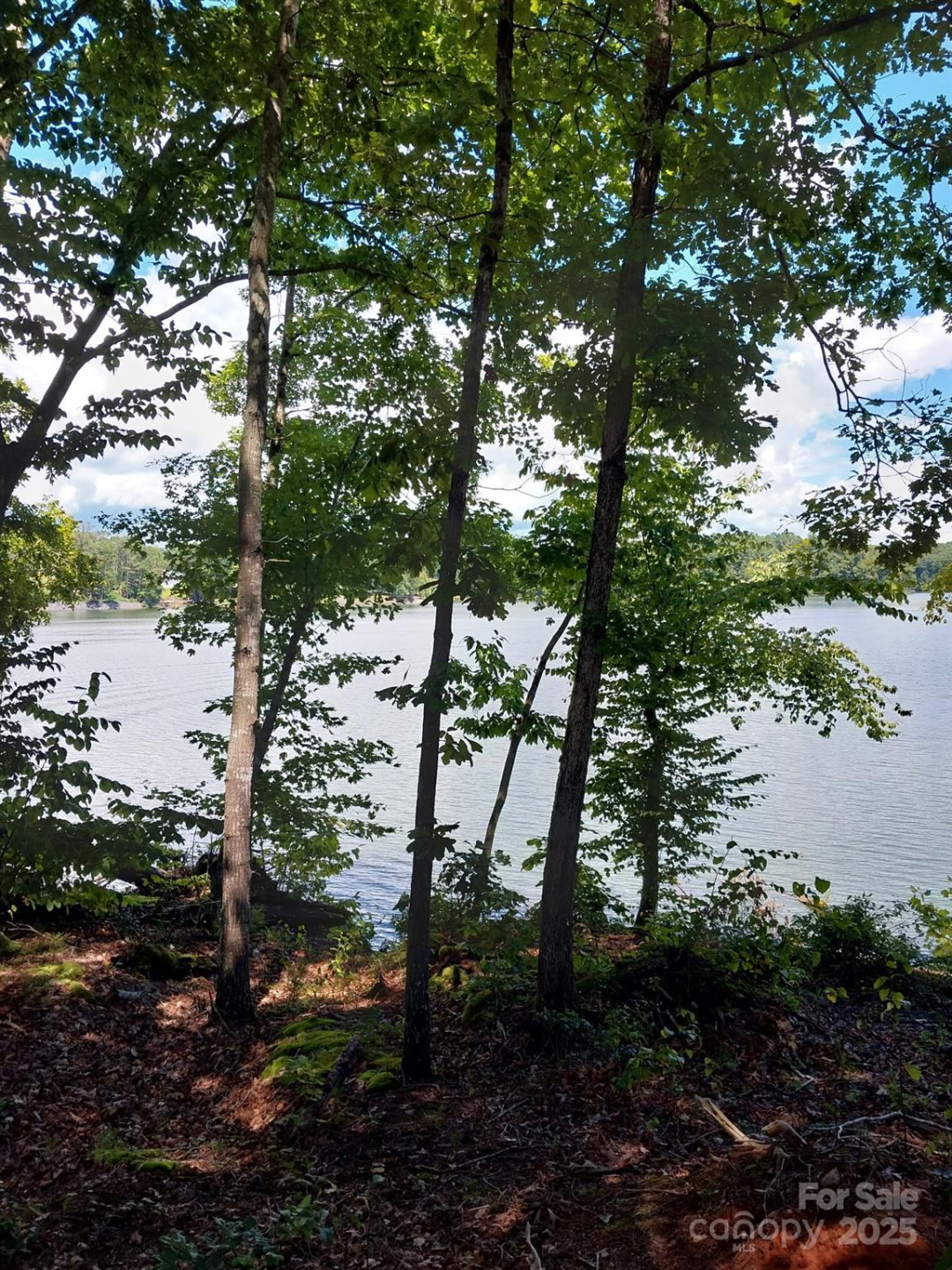 4083 Grays Peak Summit None #169 - Photo 12