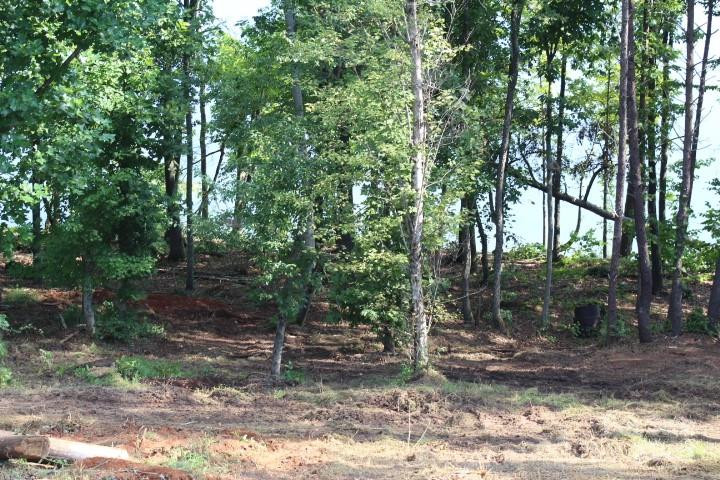 4083 Grays Peak Summit None #169 - Photo 13