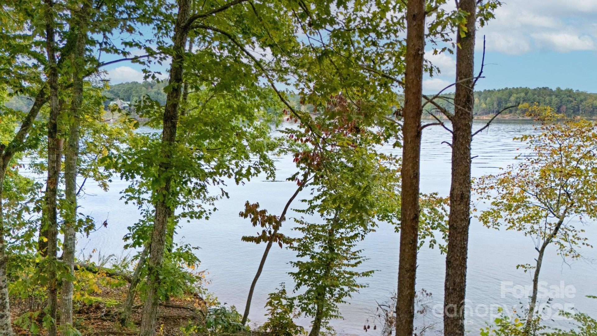 4083 Grays Peak Summit None #169 - Photo 16