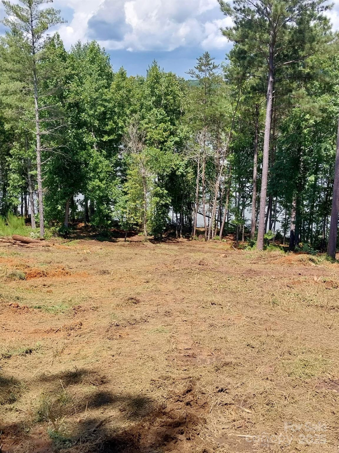 4083 Grays Peak Summit None #169 - Photo 18