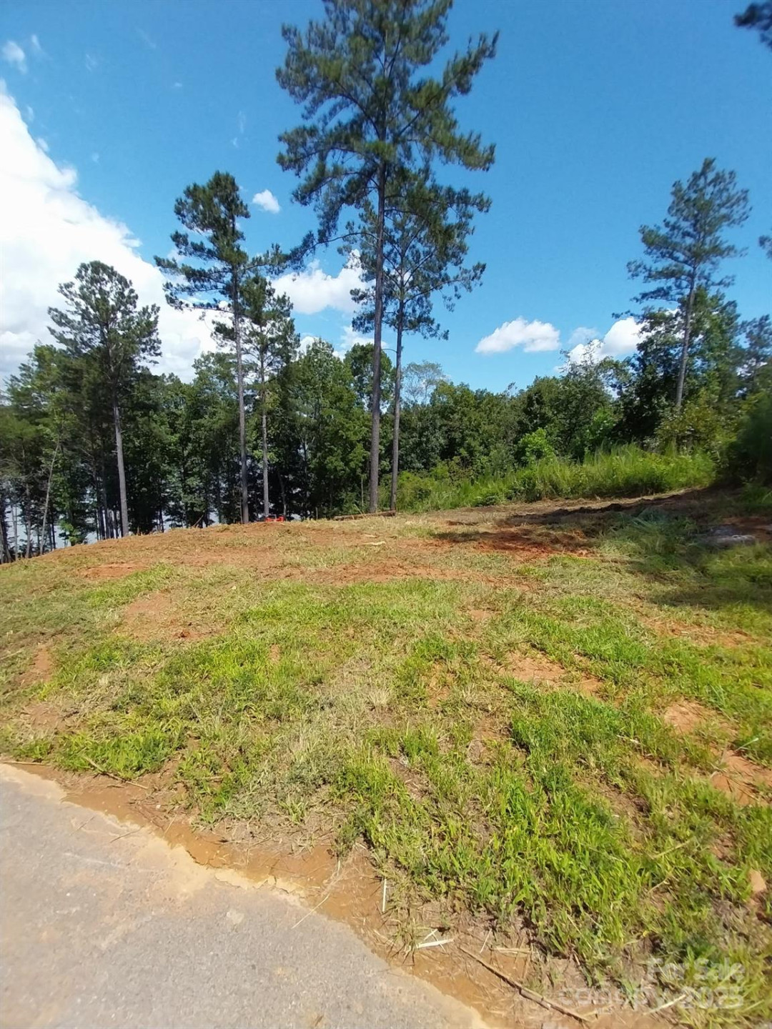 4083 Grays Peak Summit None #169 - Photo 19