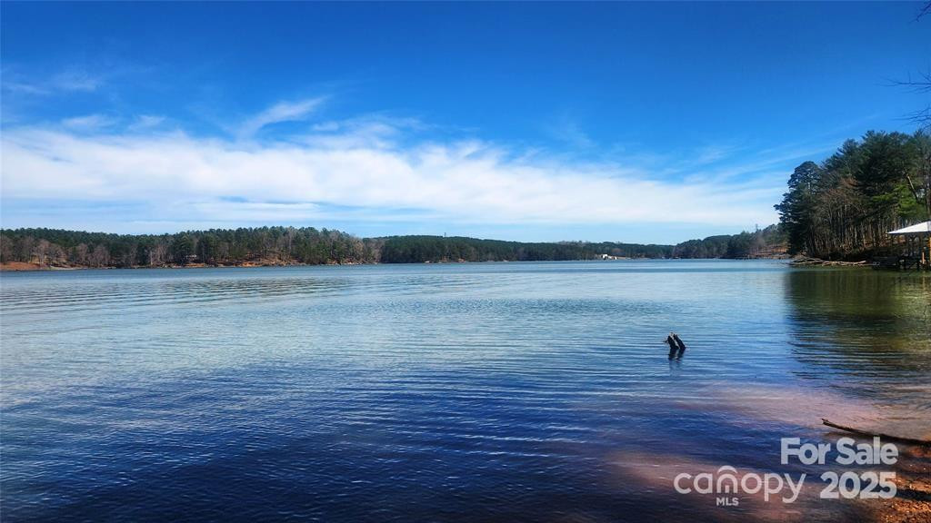 4083 Grays Peak Summit None #169 - Photo 21