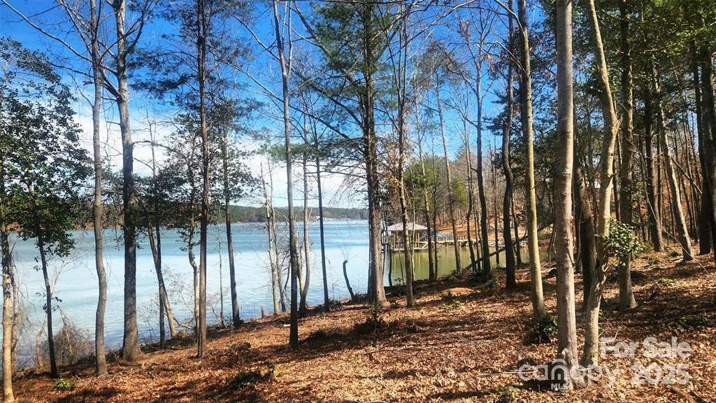 4083 Grays Peak Summit None #169 - Photo 24