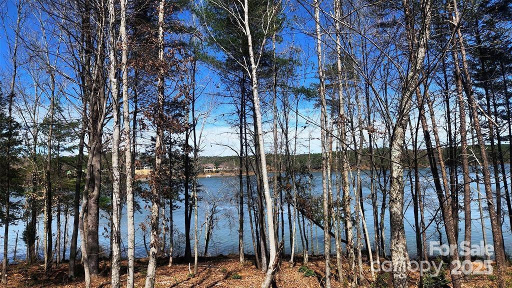 4083 Grays Peak Summit None #169 - Photo 25