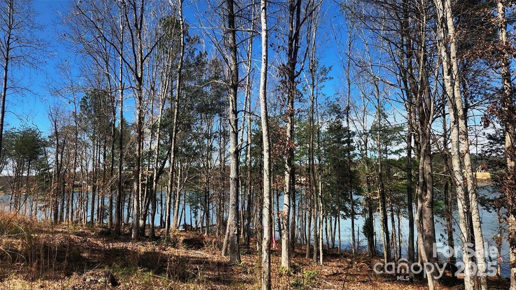 4083 Grays Peak Summit None #169 - Photo 26