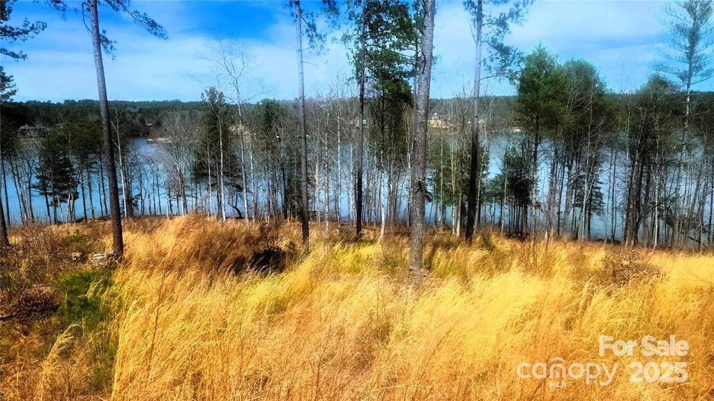 4083 Grays Peak Summit None #169 - Photo 27