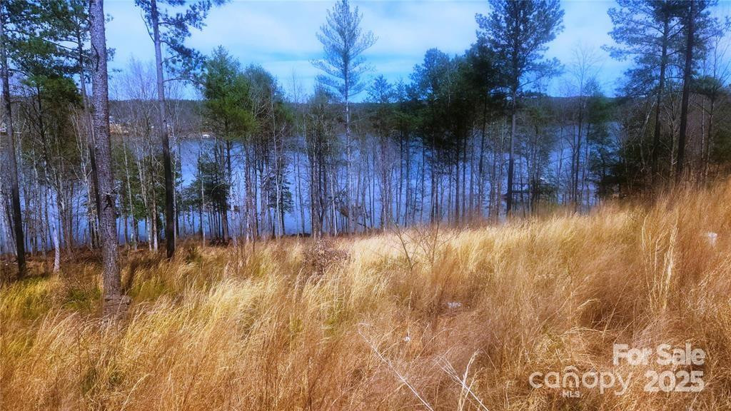 4083 Grays Peak Summit None #169 - Photo 28