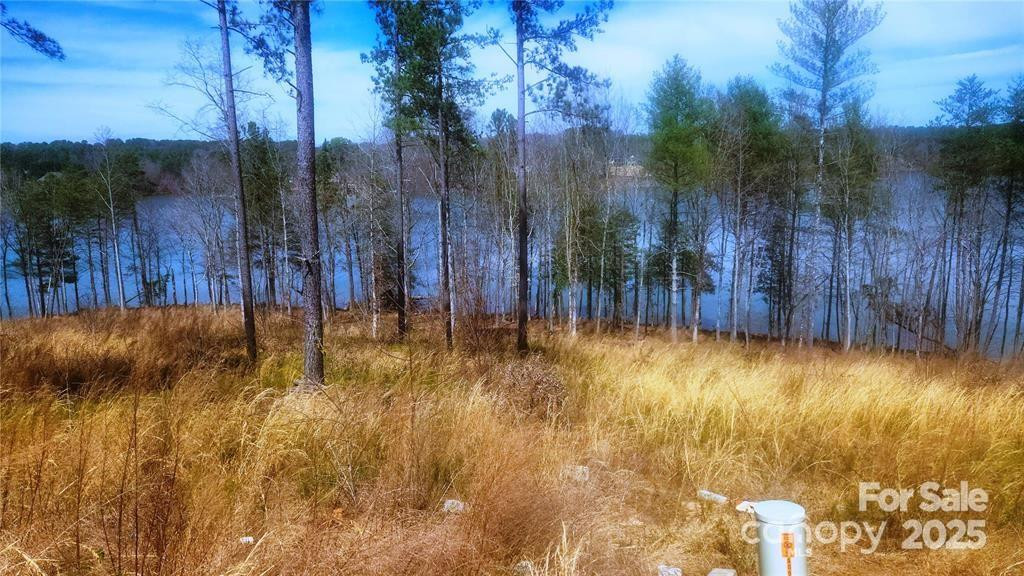 4083 Grays Peak Summit None #169 - Photo 29