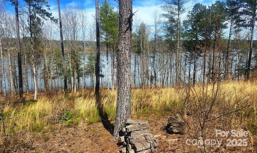 4083 Grays Peak Summit None #169 - Photo 30