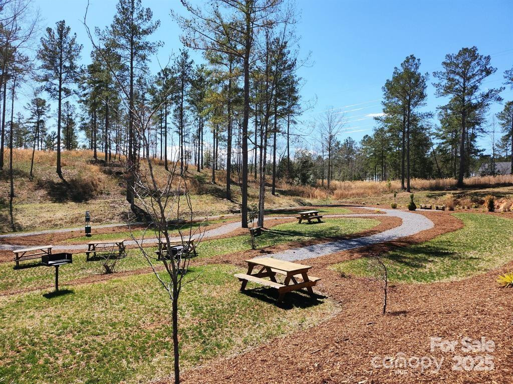 4083 Grays Peak Summit None #169 - Photo 37