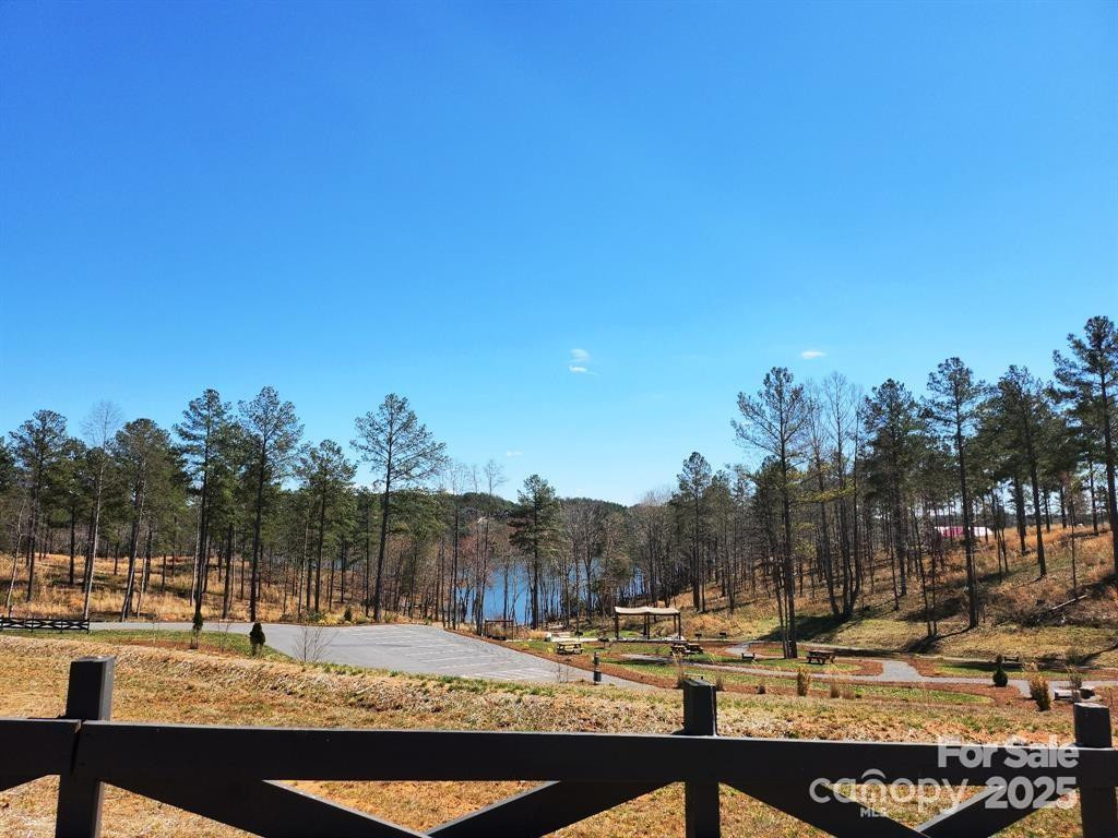 4083 Grays Peak Summit None #169 - Photo 38